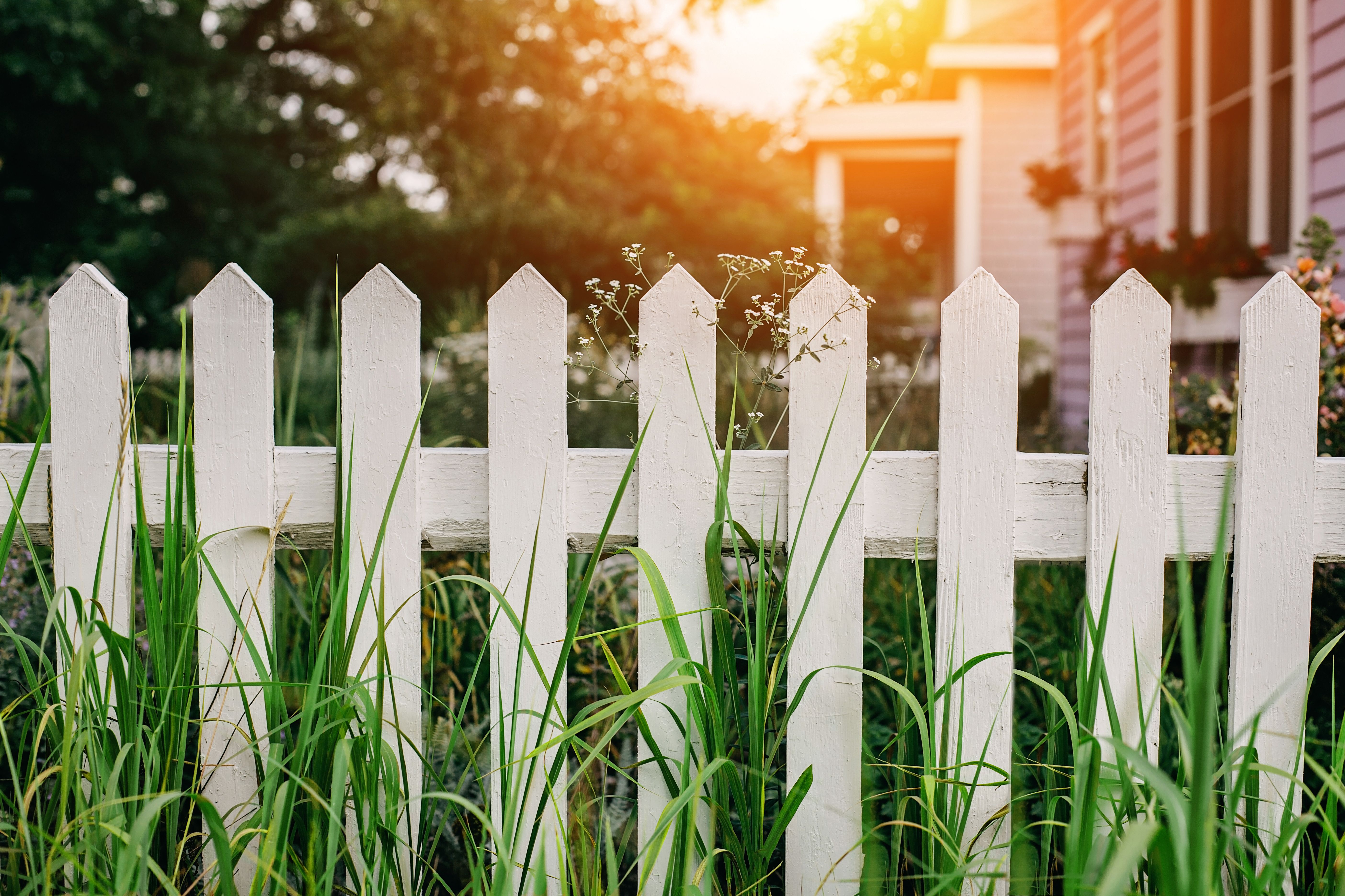 community fence