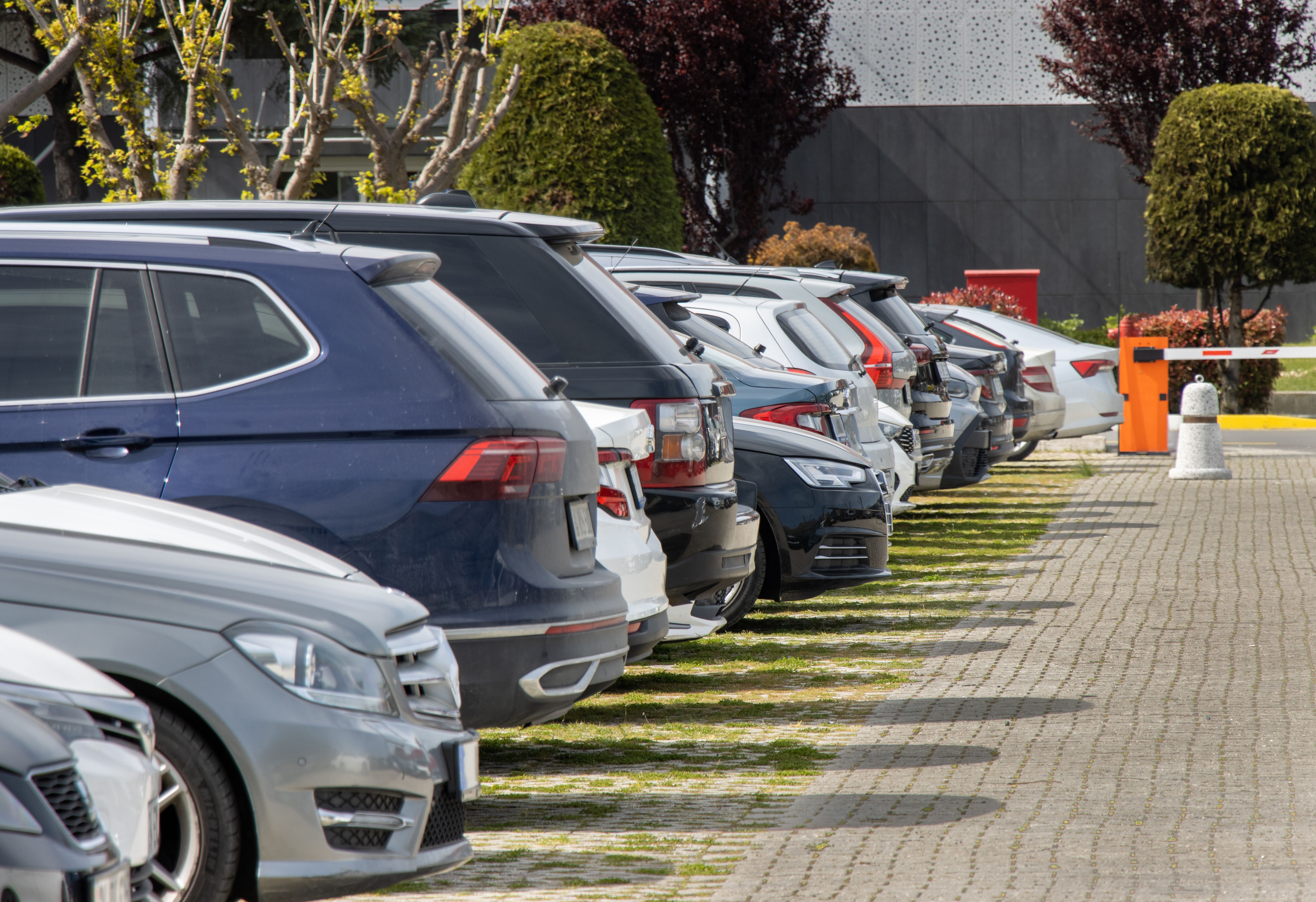 car variety