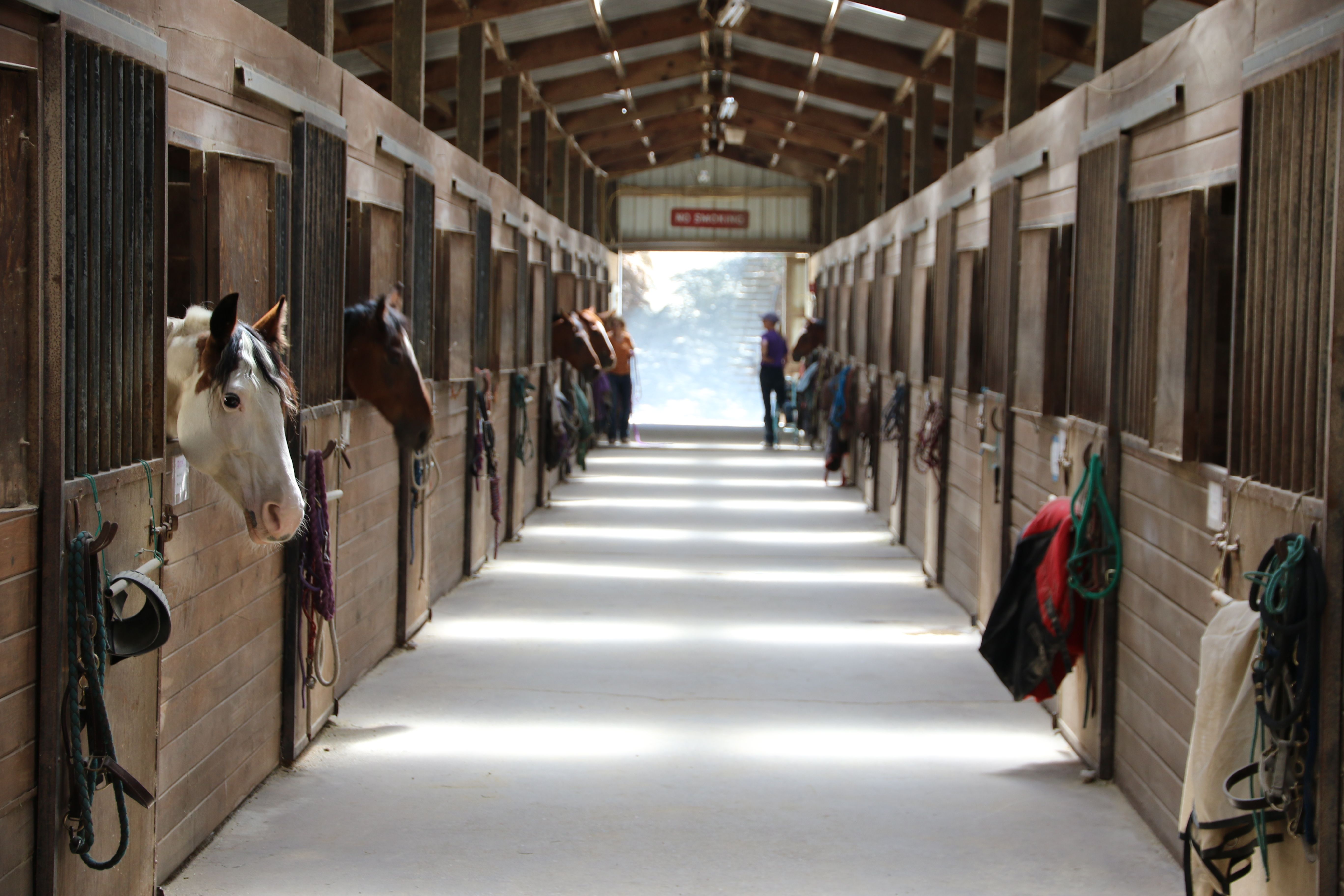 equine facility
