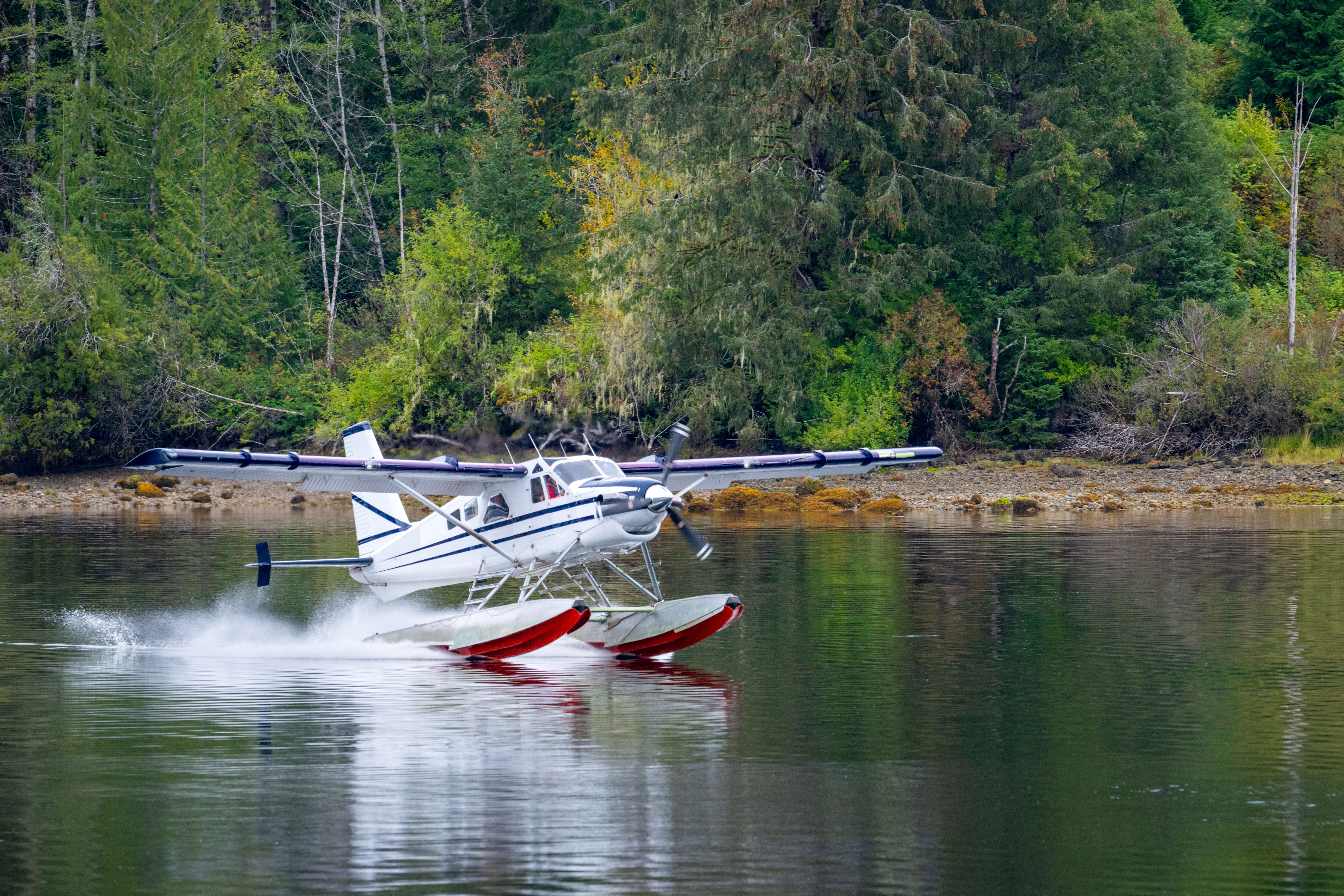 vancouver activities