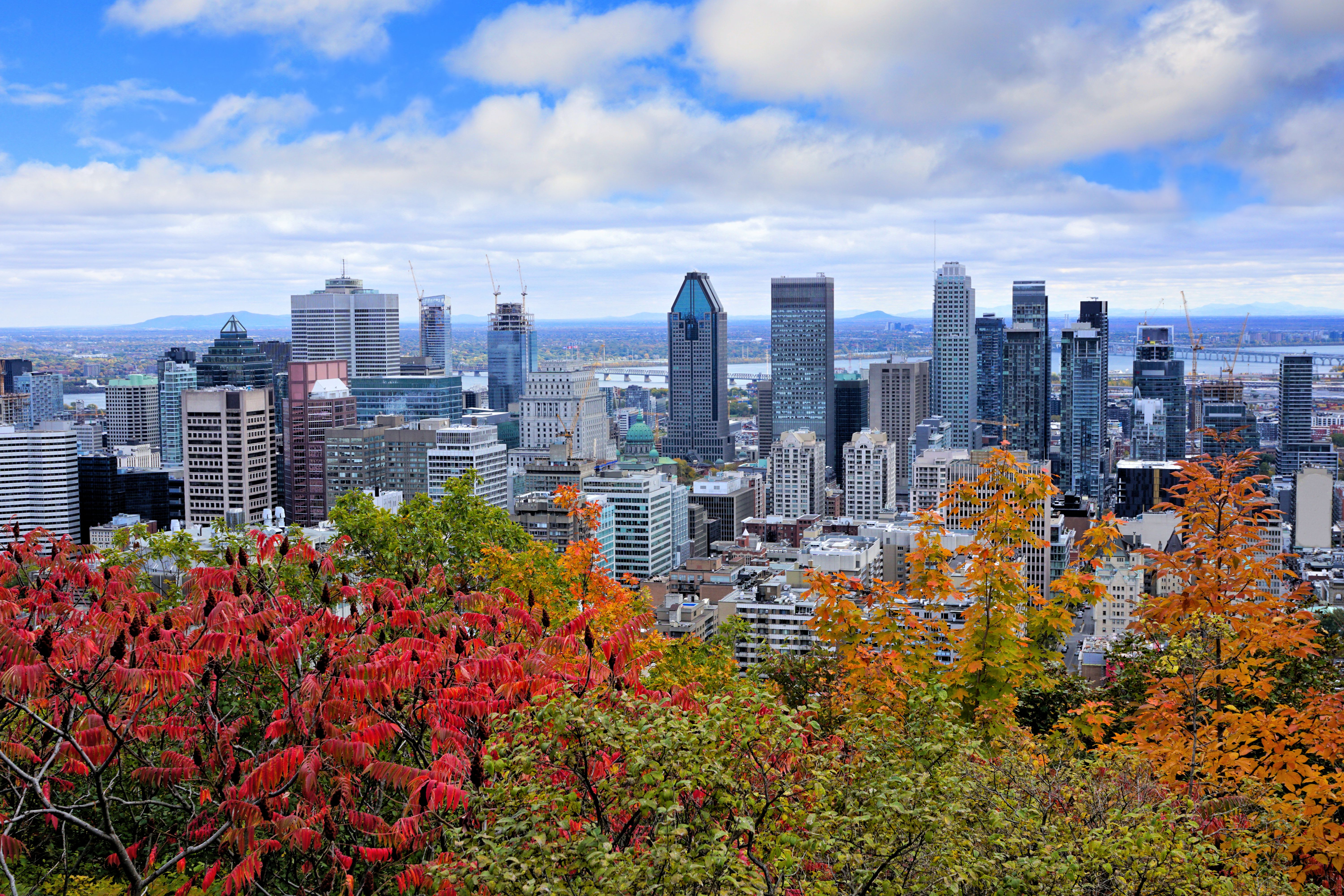 montreal skyline