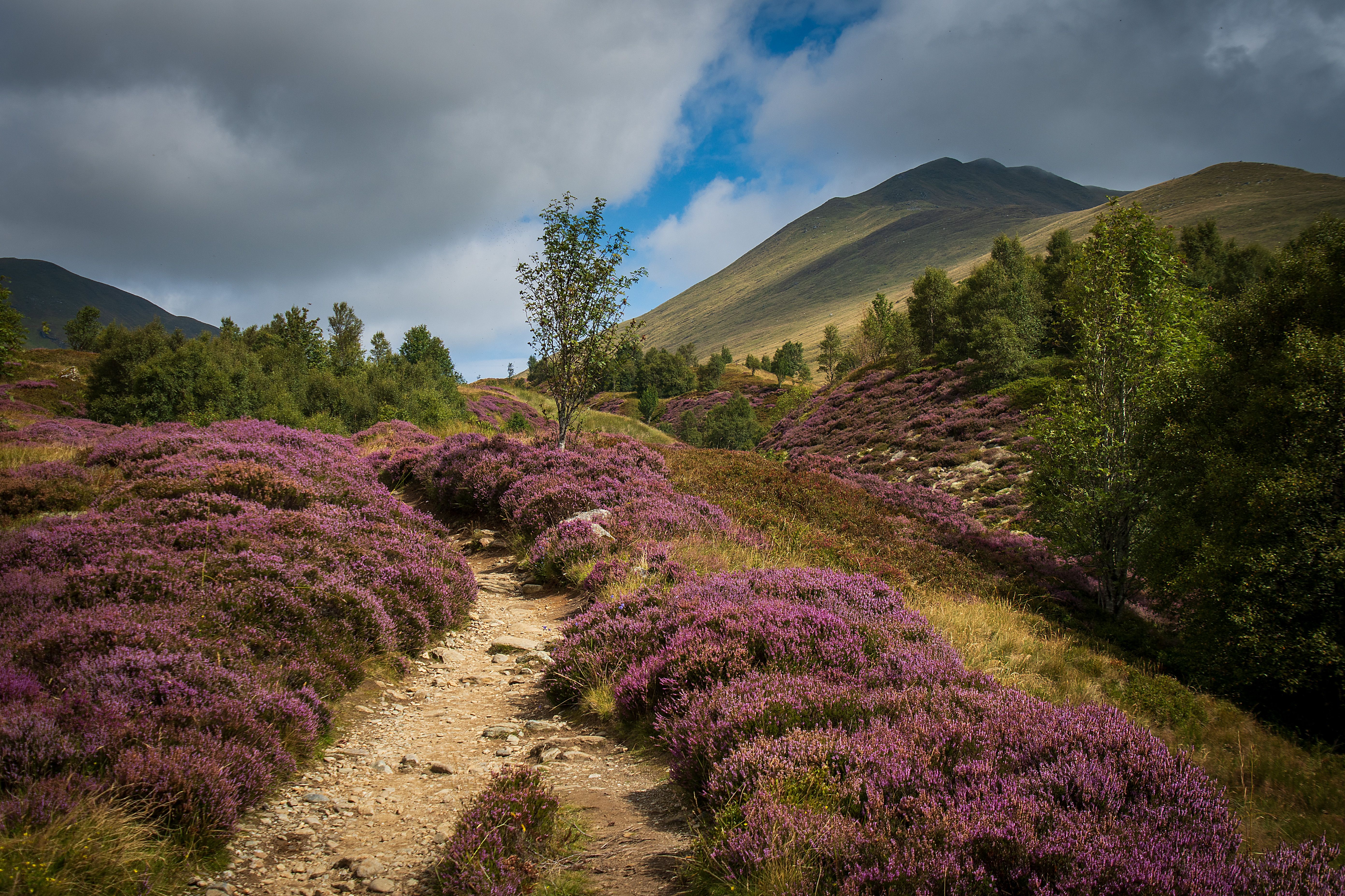 scotland hidden path