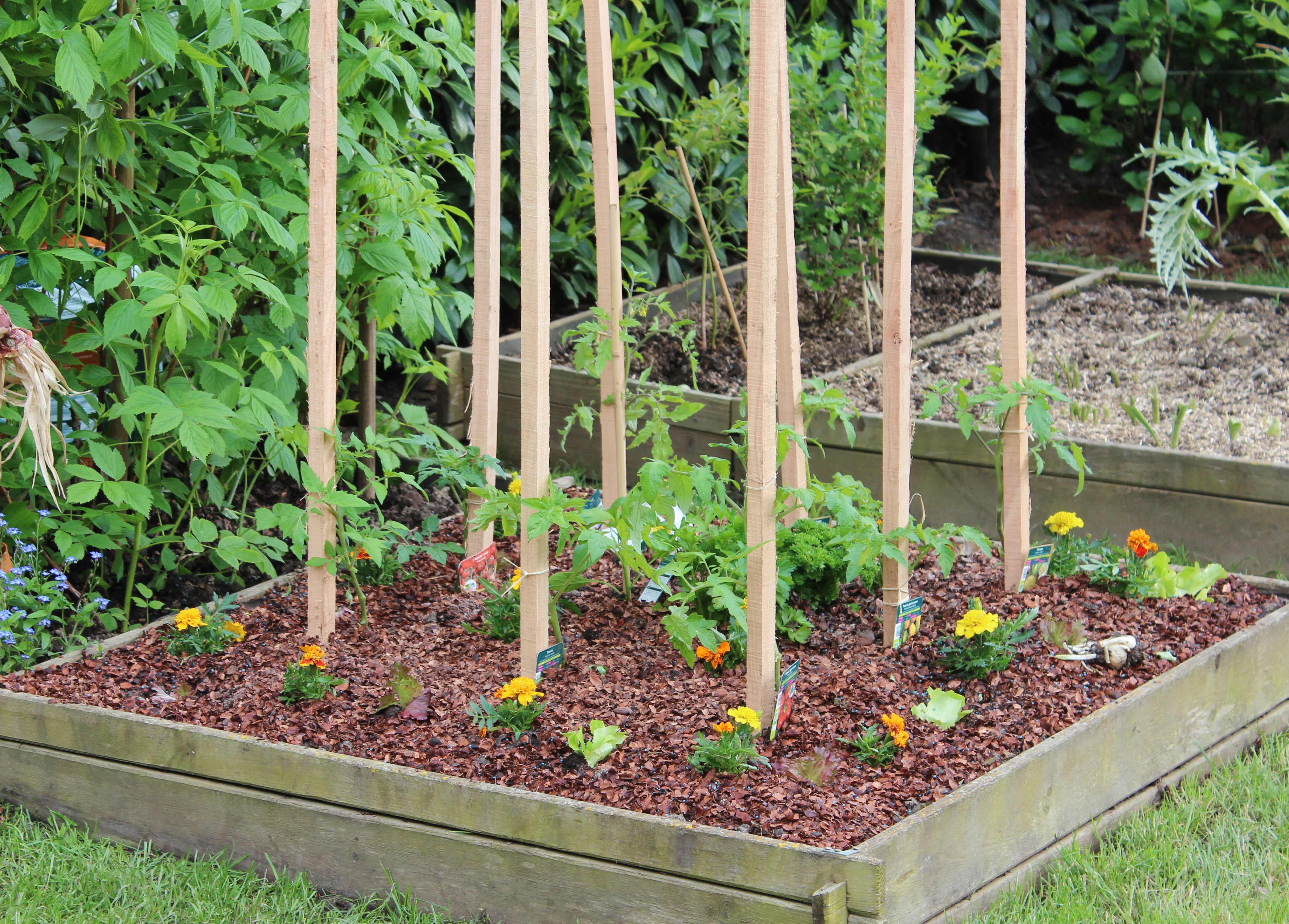 small garden wall