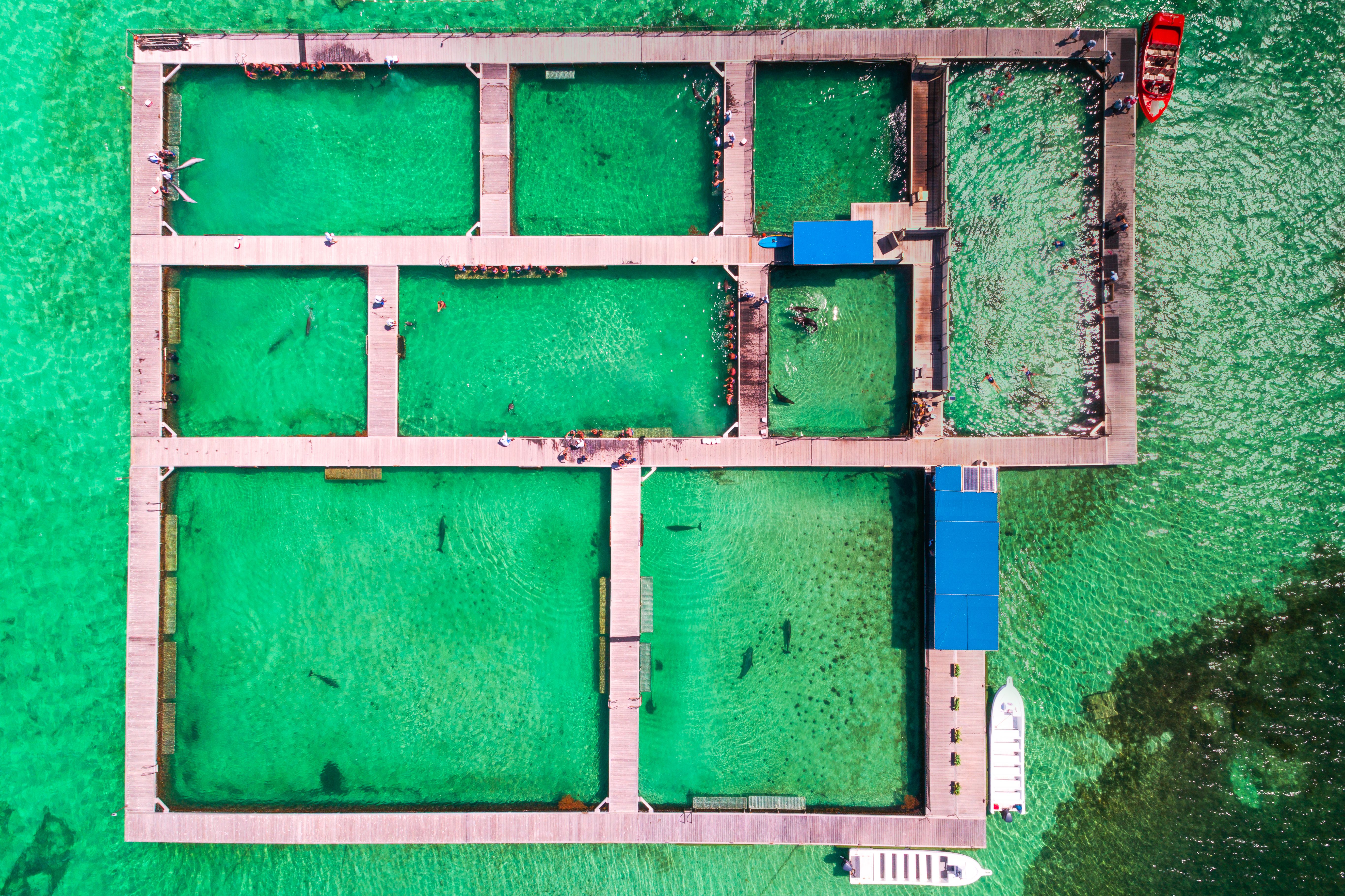 catamaran performance