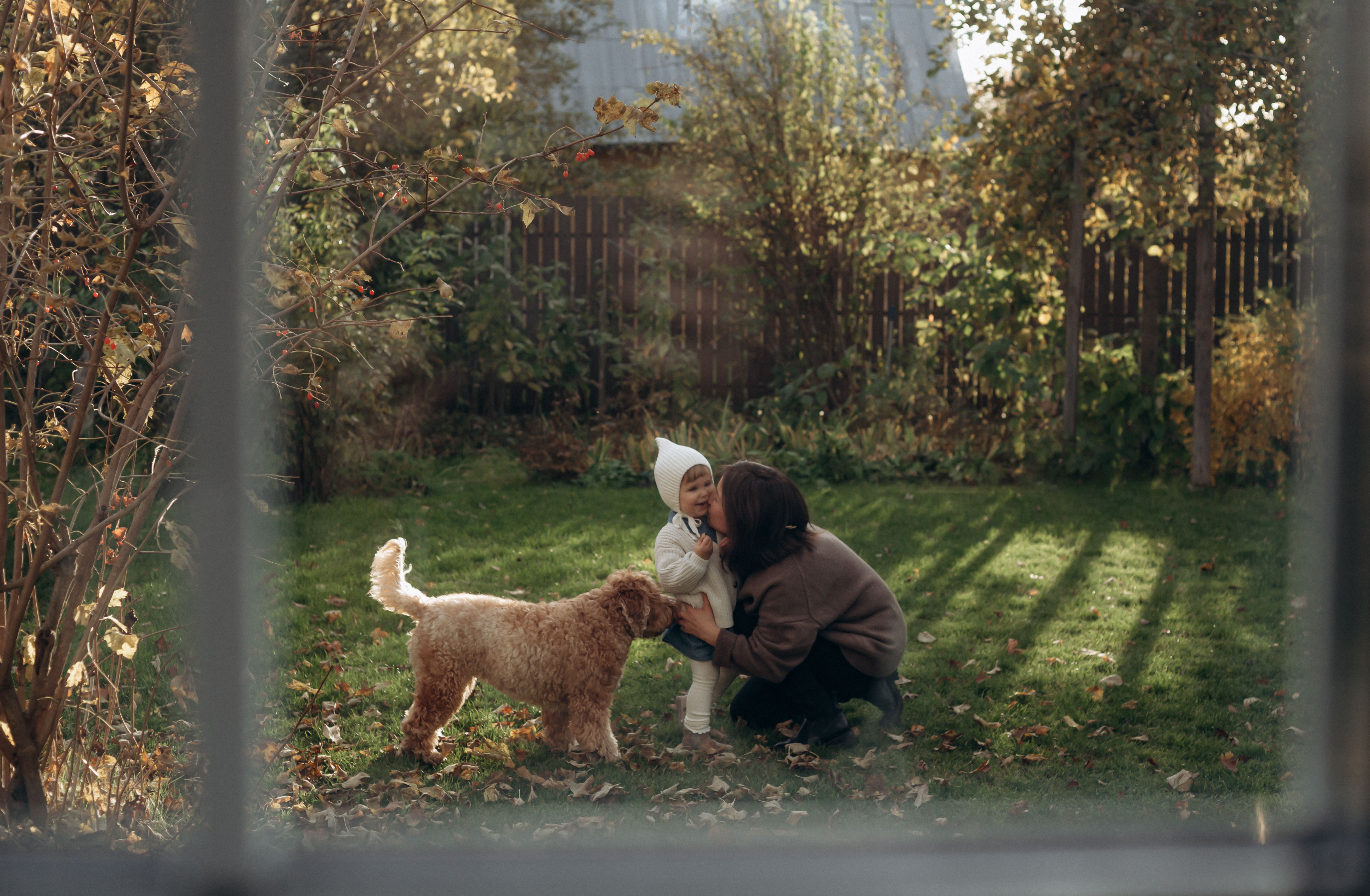 family playing with dog