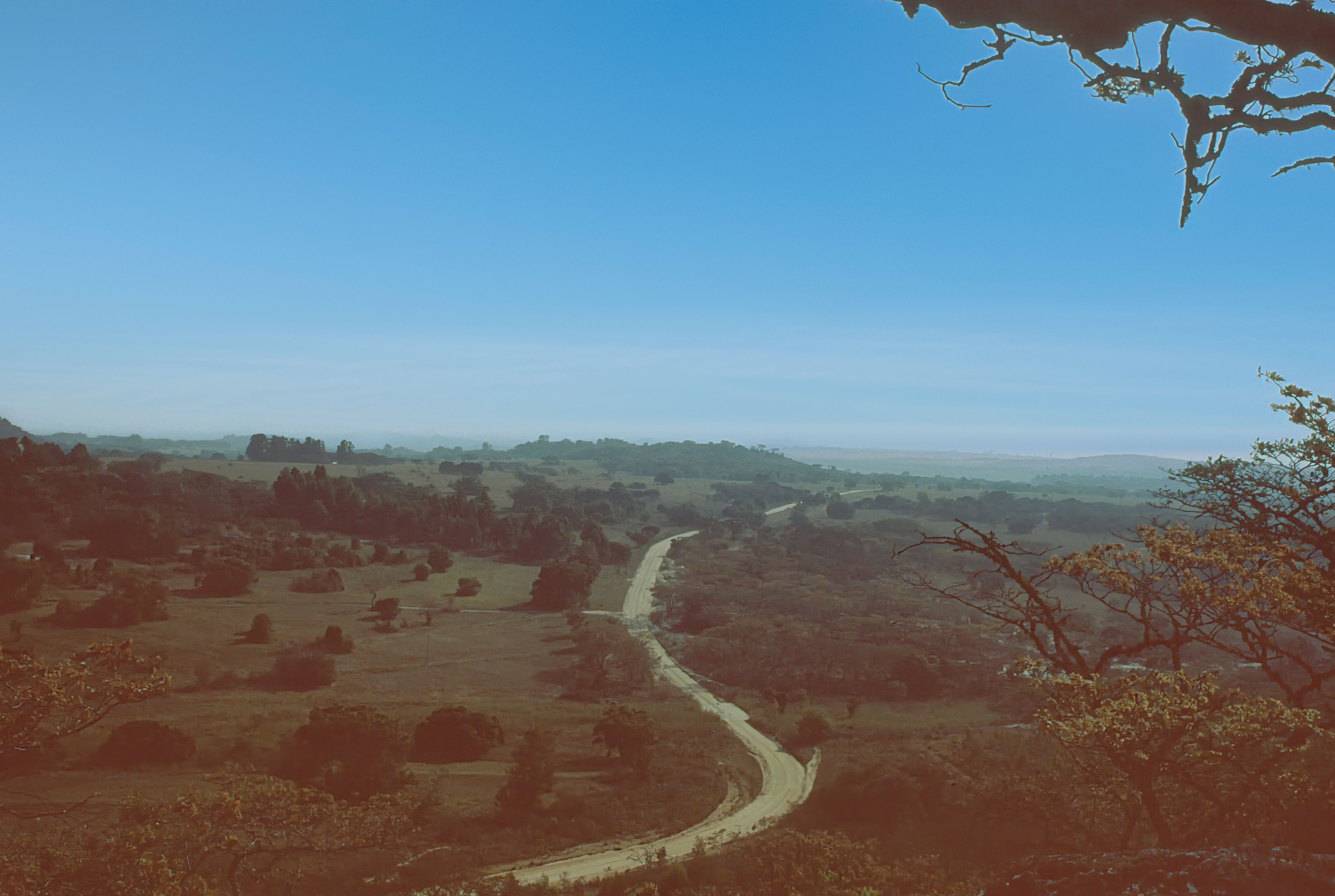 Savannah in Zimbabwe