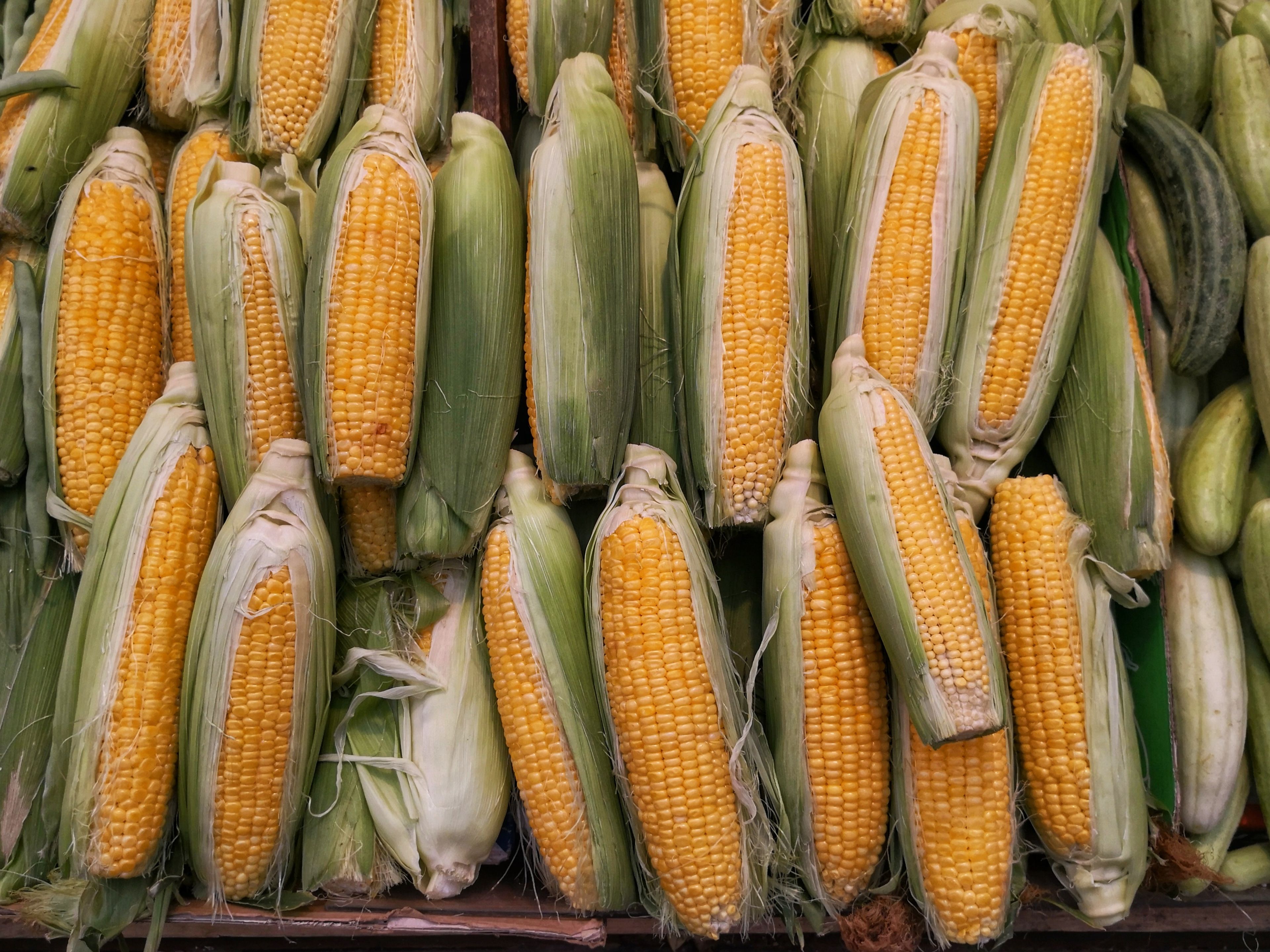 farmers market israel