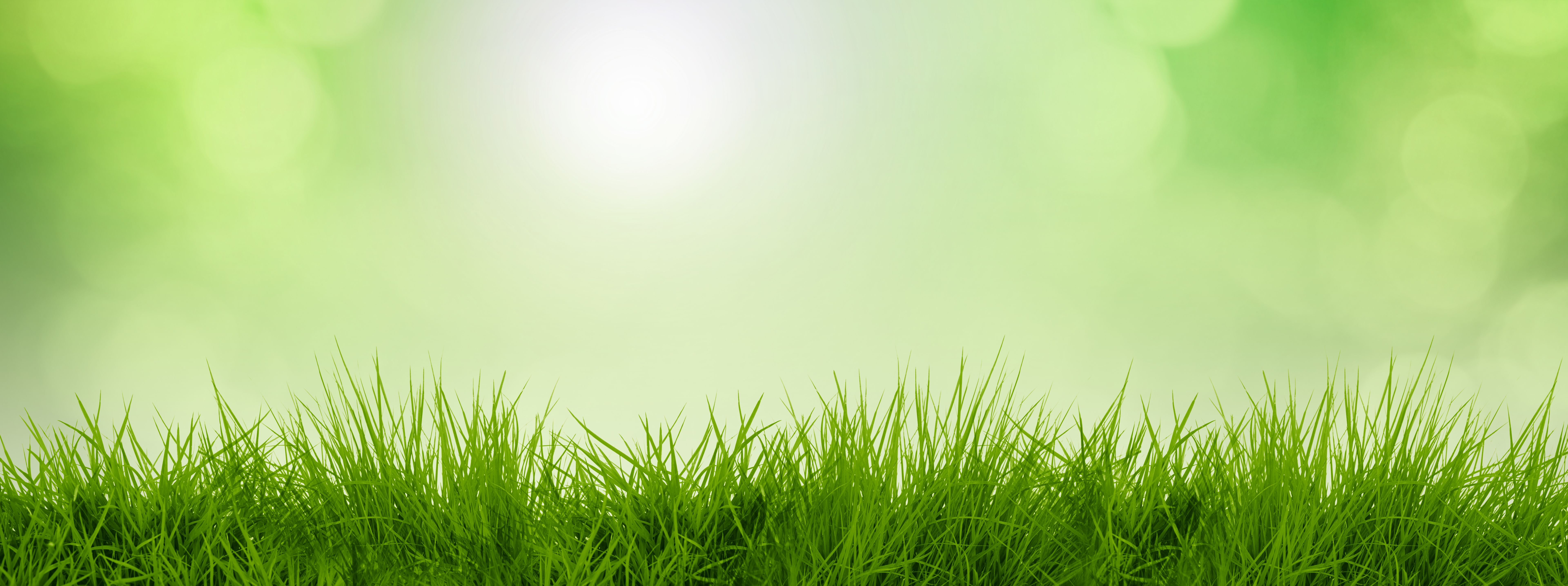 sustainable lawn care