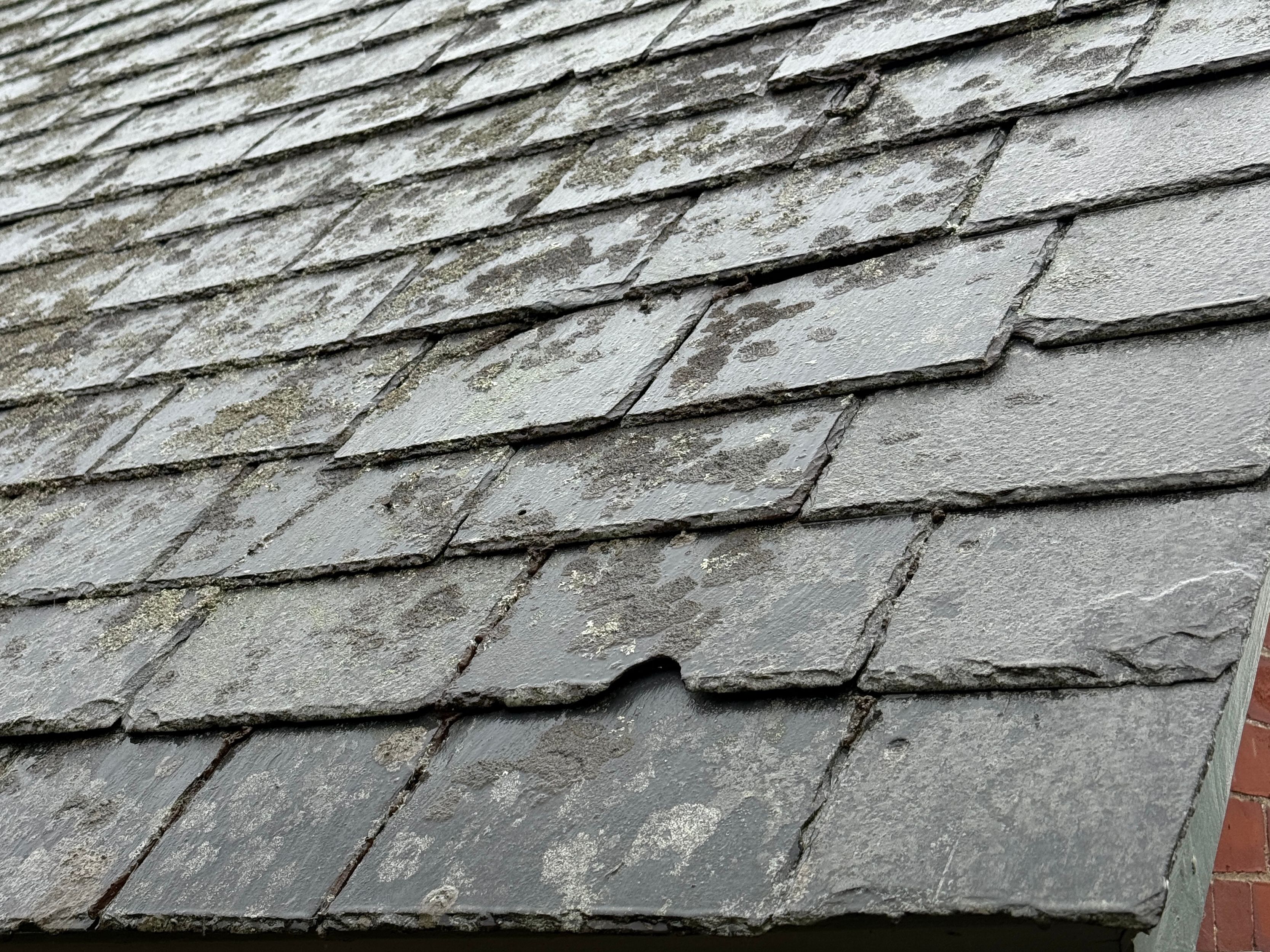 damaged shingles