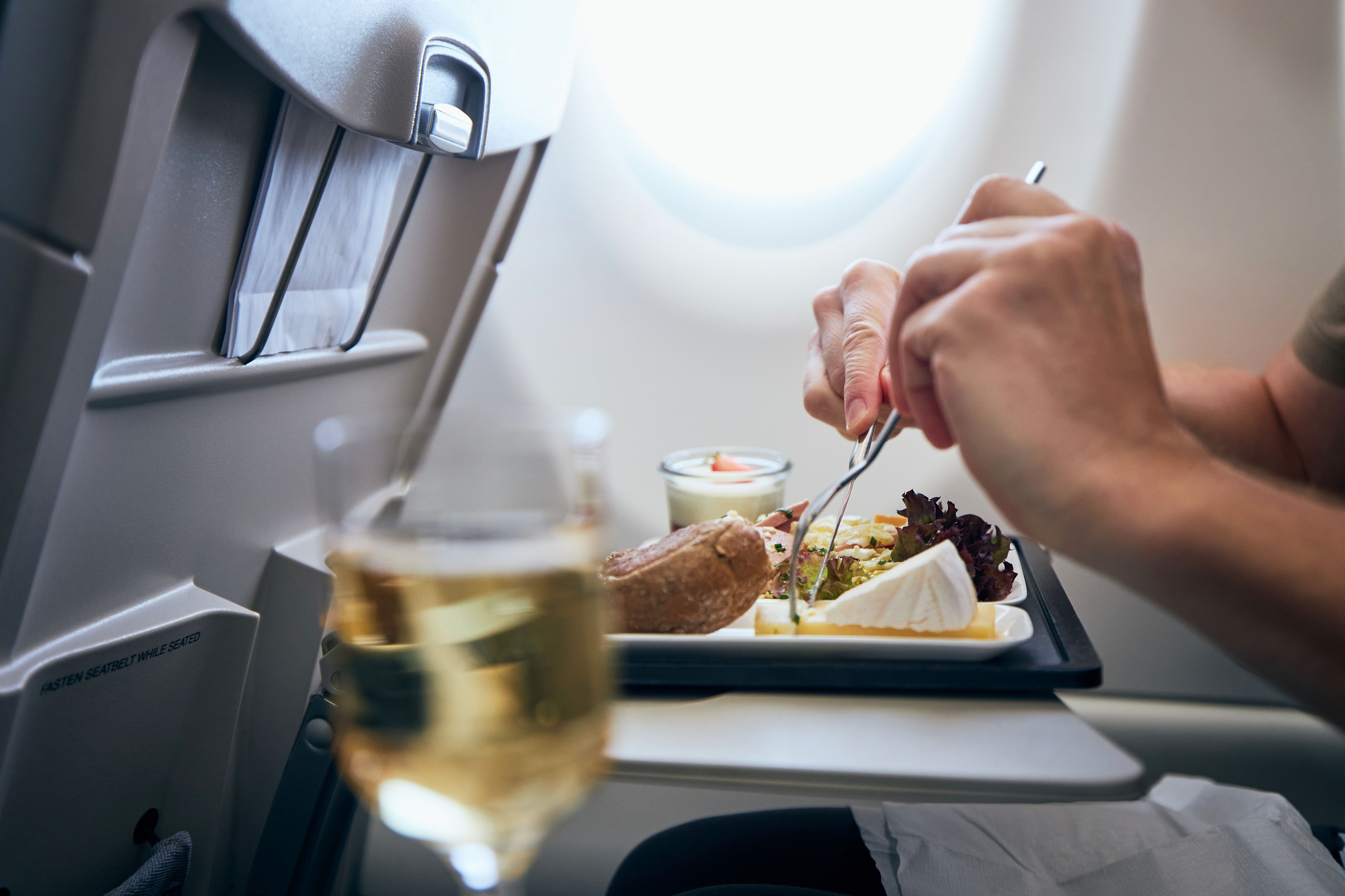 airplane meal