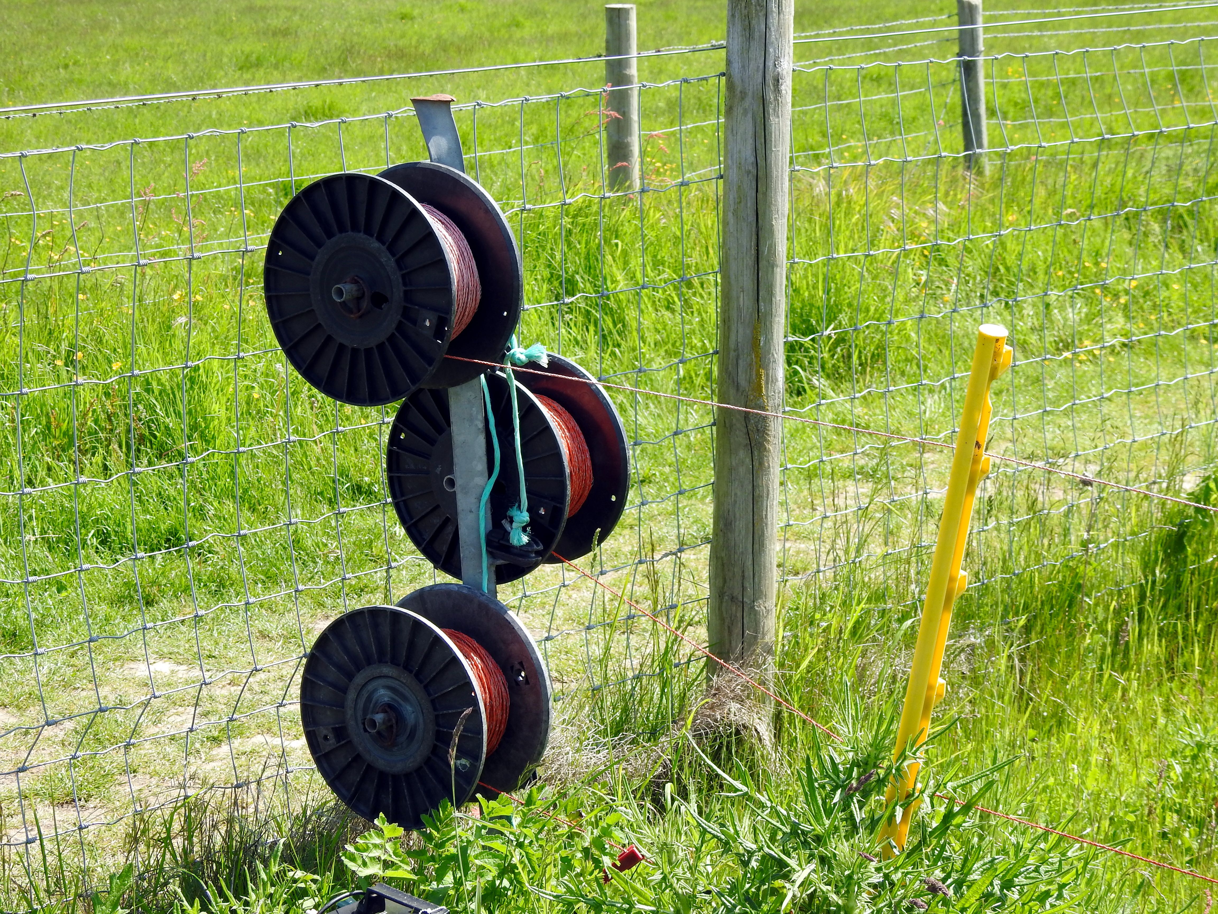 Electric fencing spools of wire