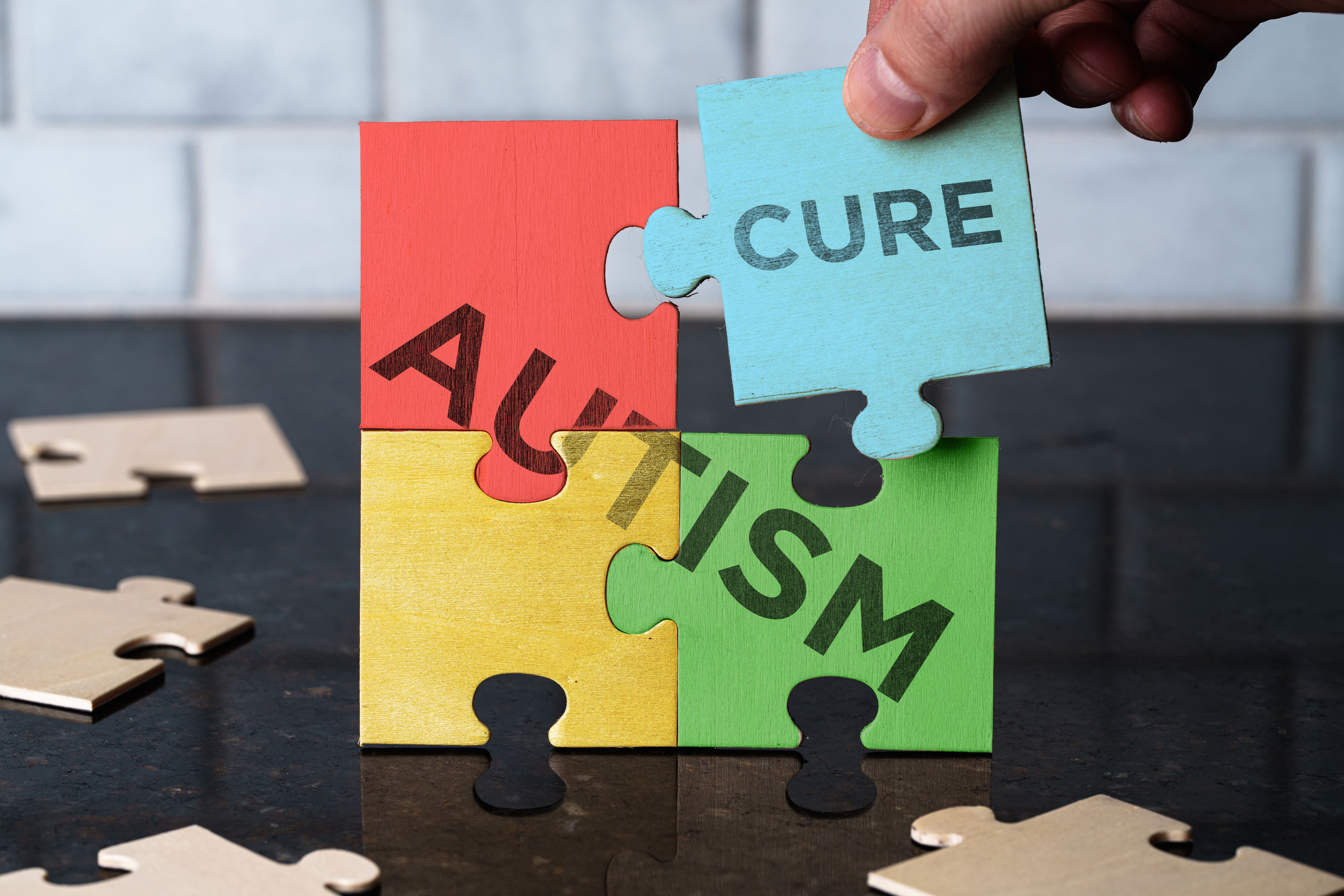 special education advocacy