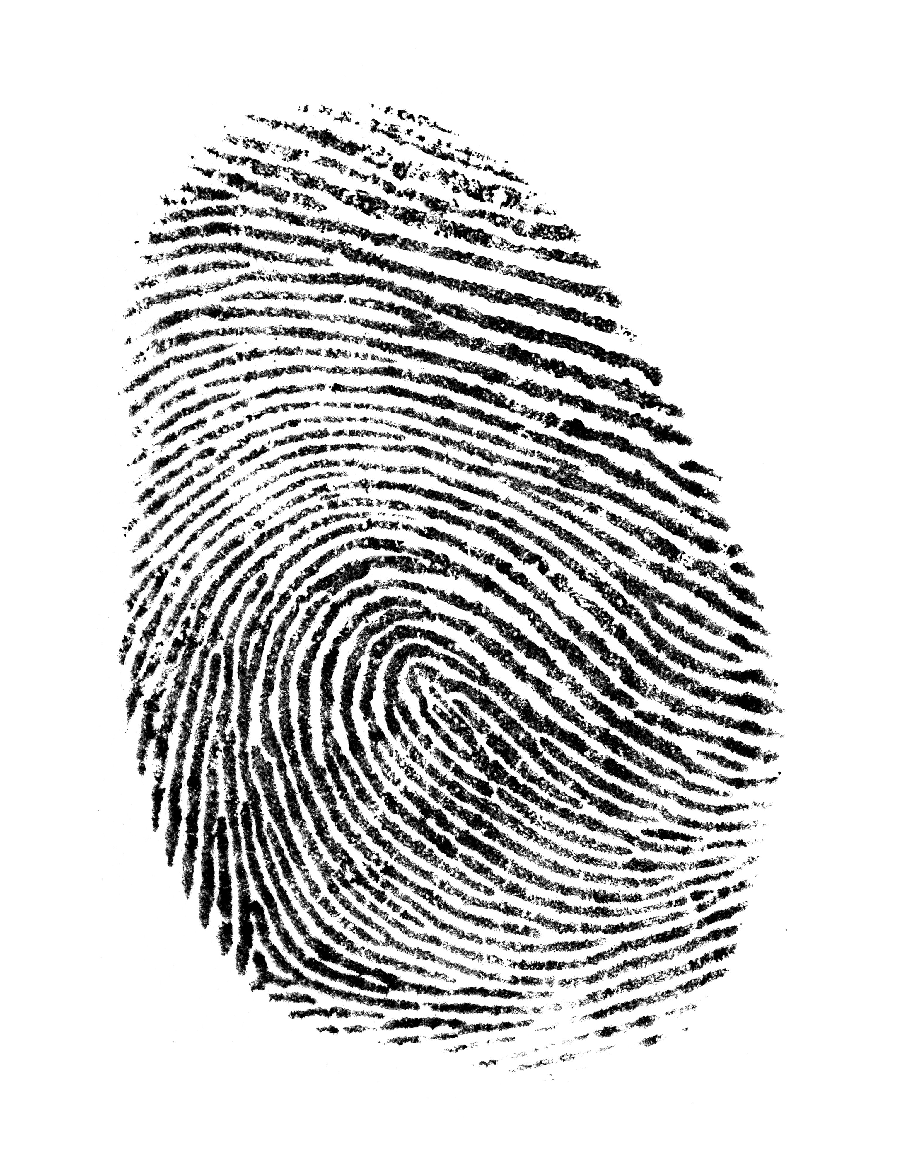 ink fingerprinting