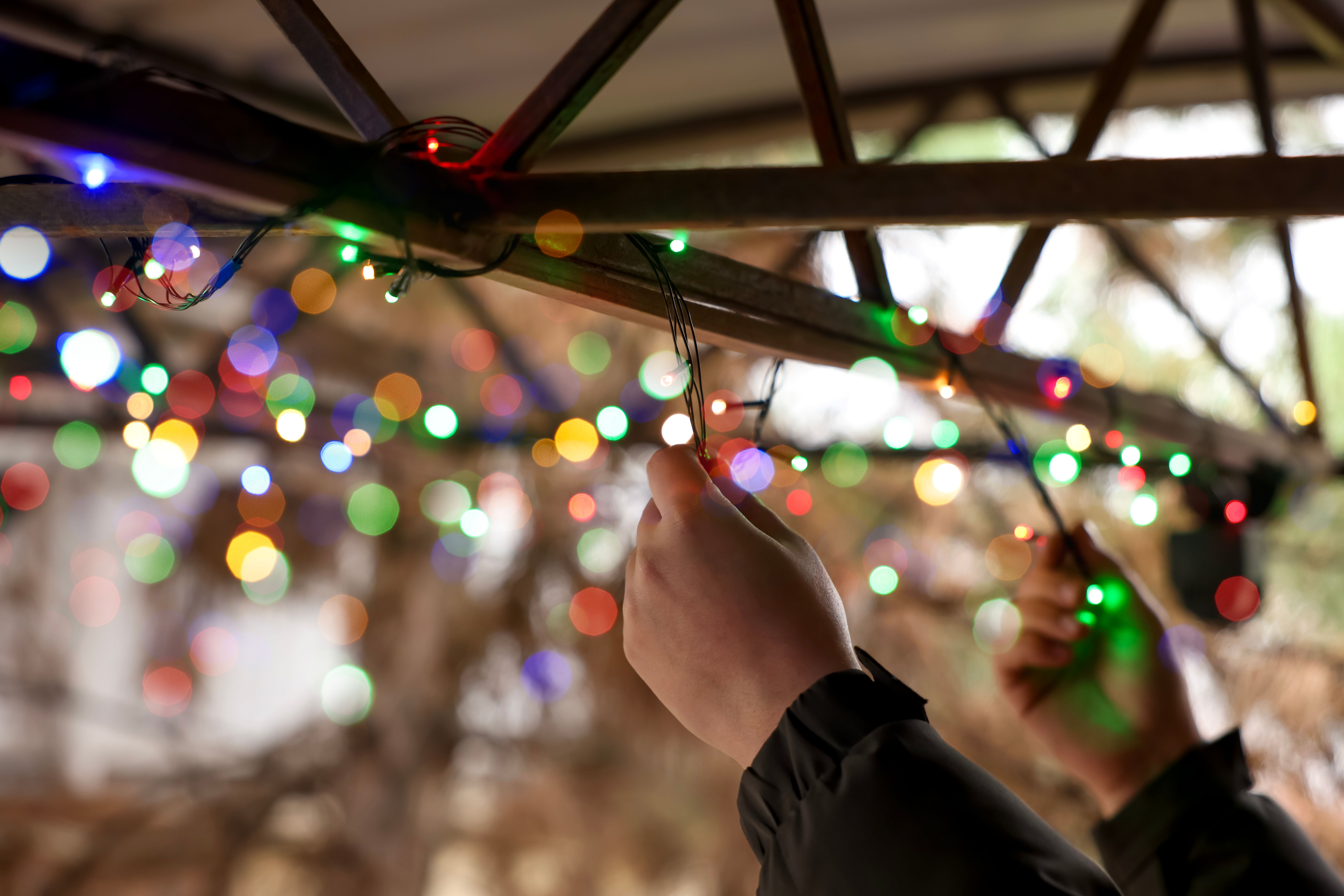 inspecting holiday lights