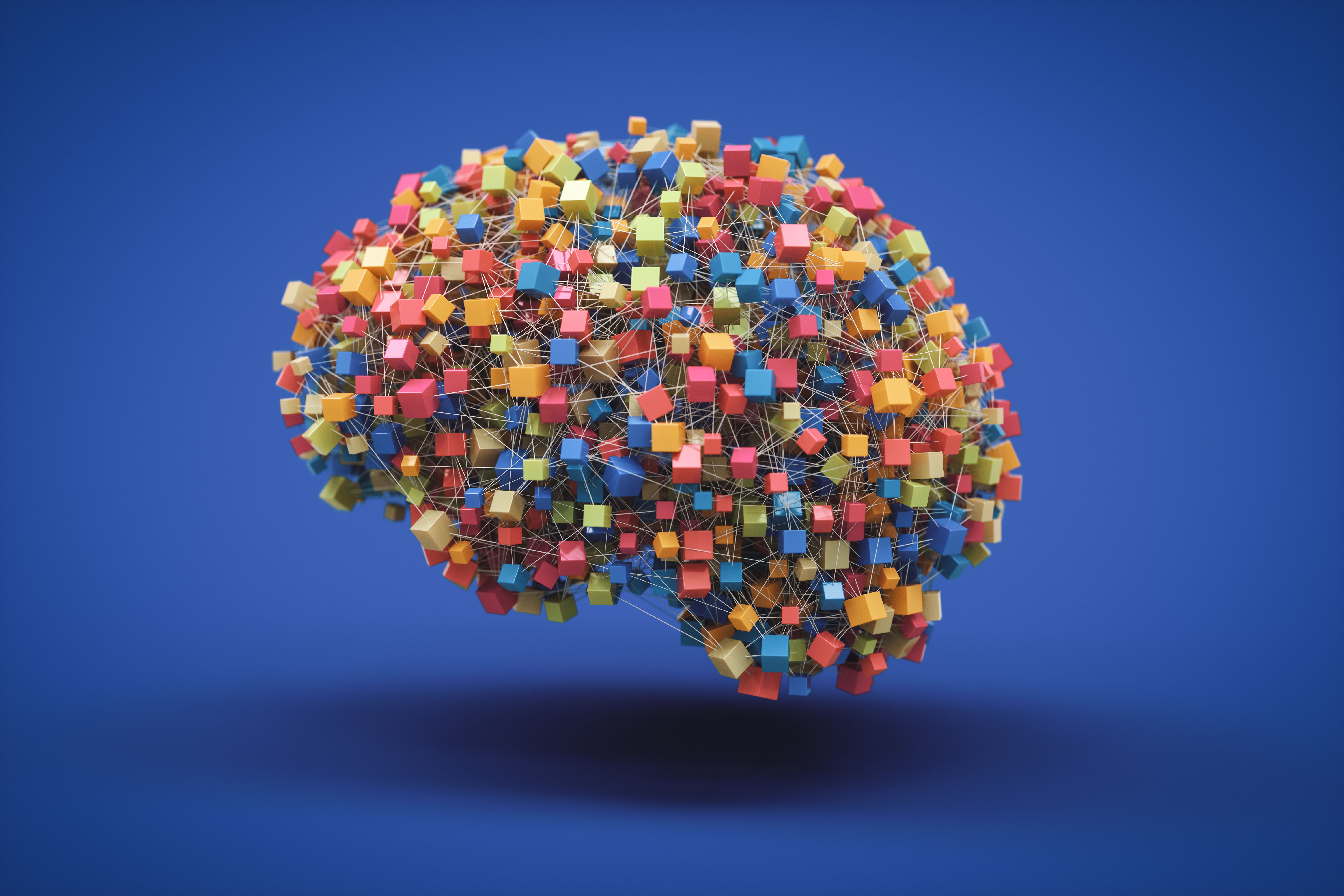 Colorful Brain Connections Colorful Brain Connections