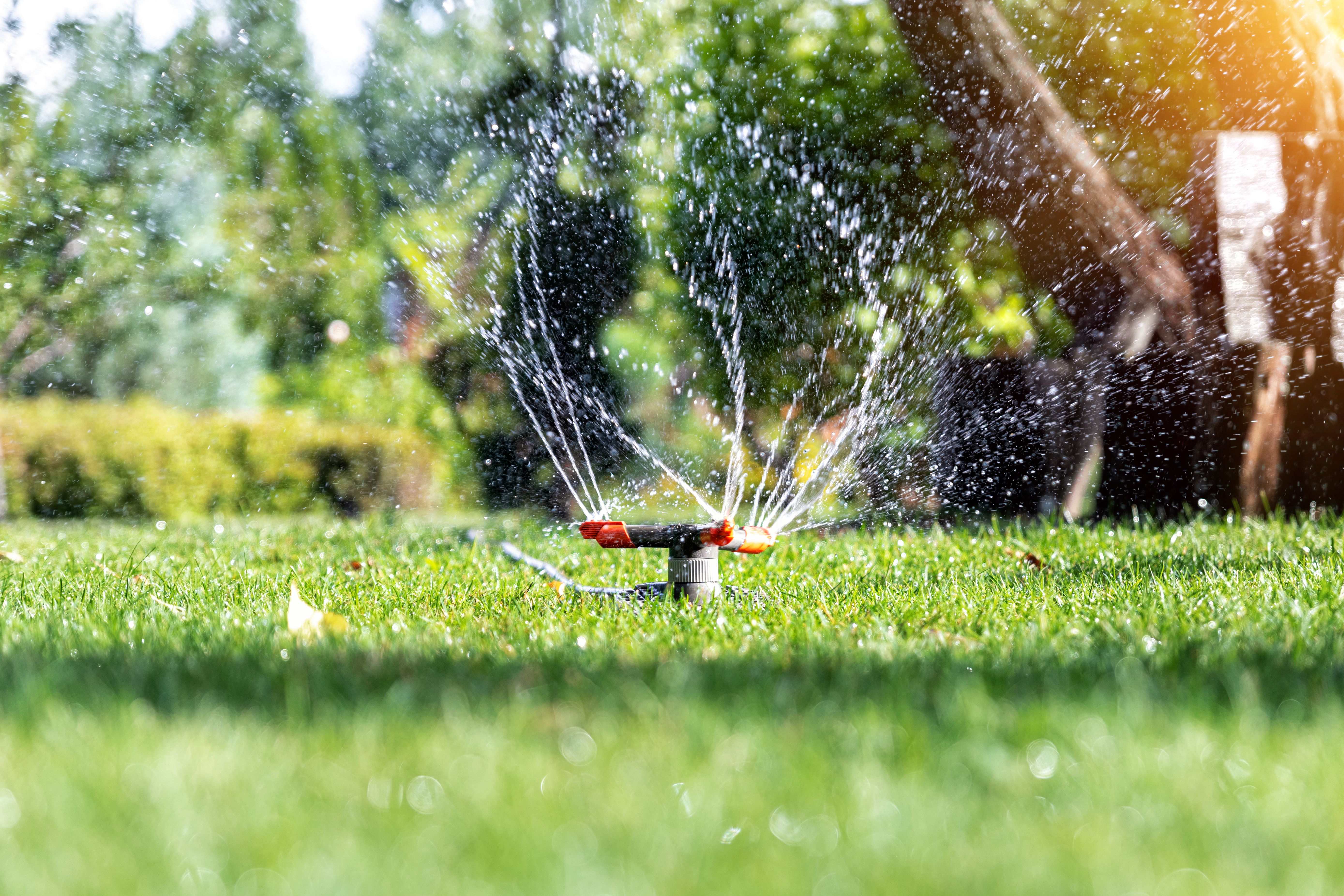 smart irrigation