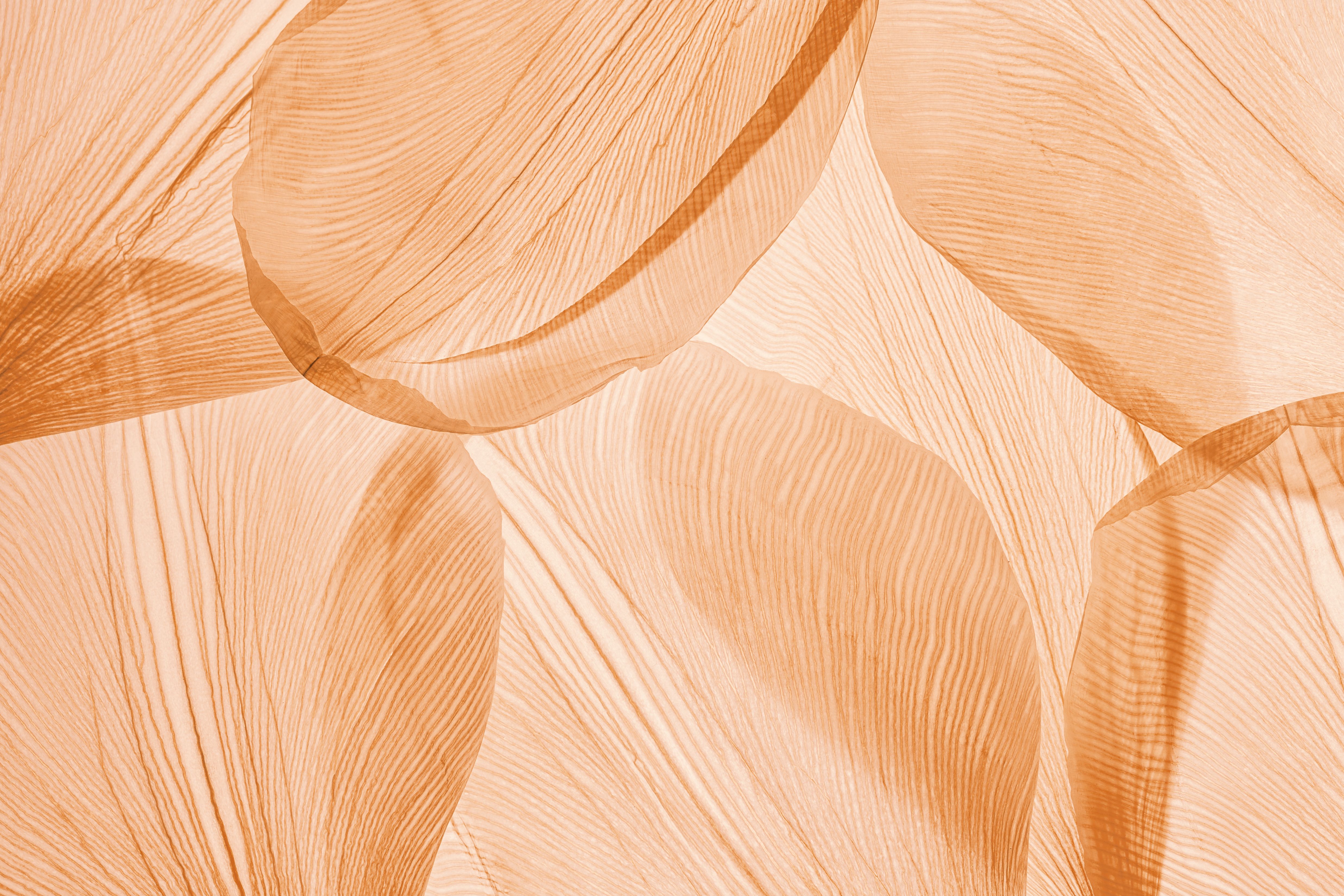 color texture design