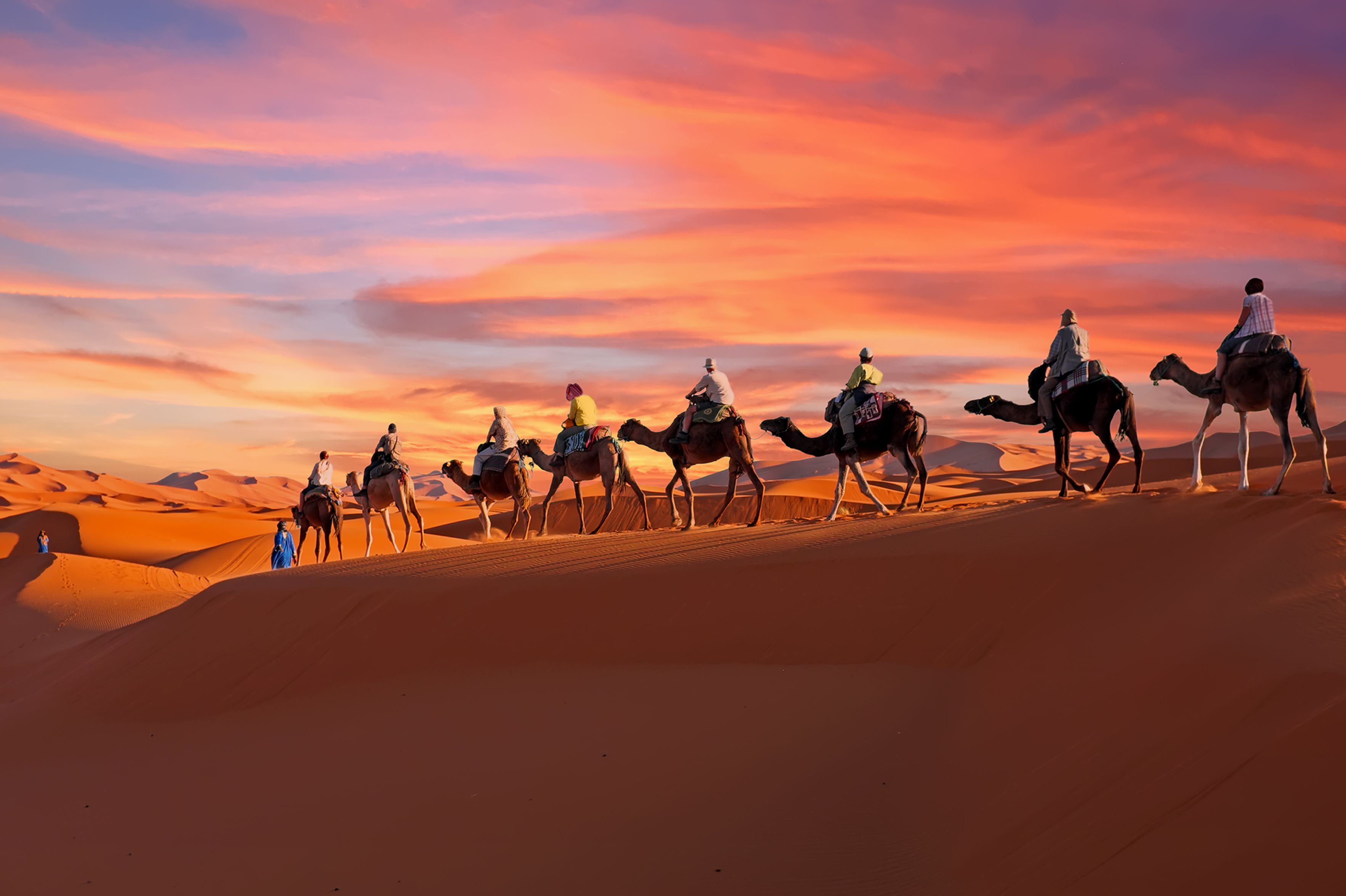 camel ride
