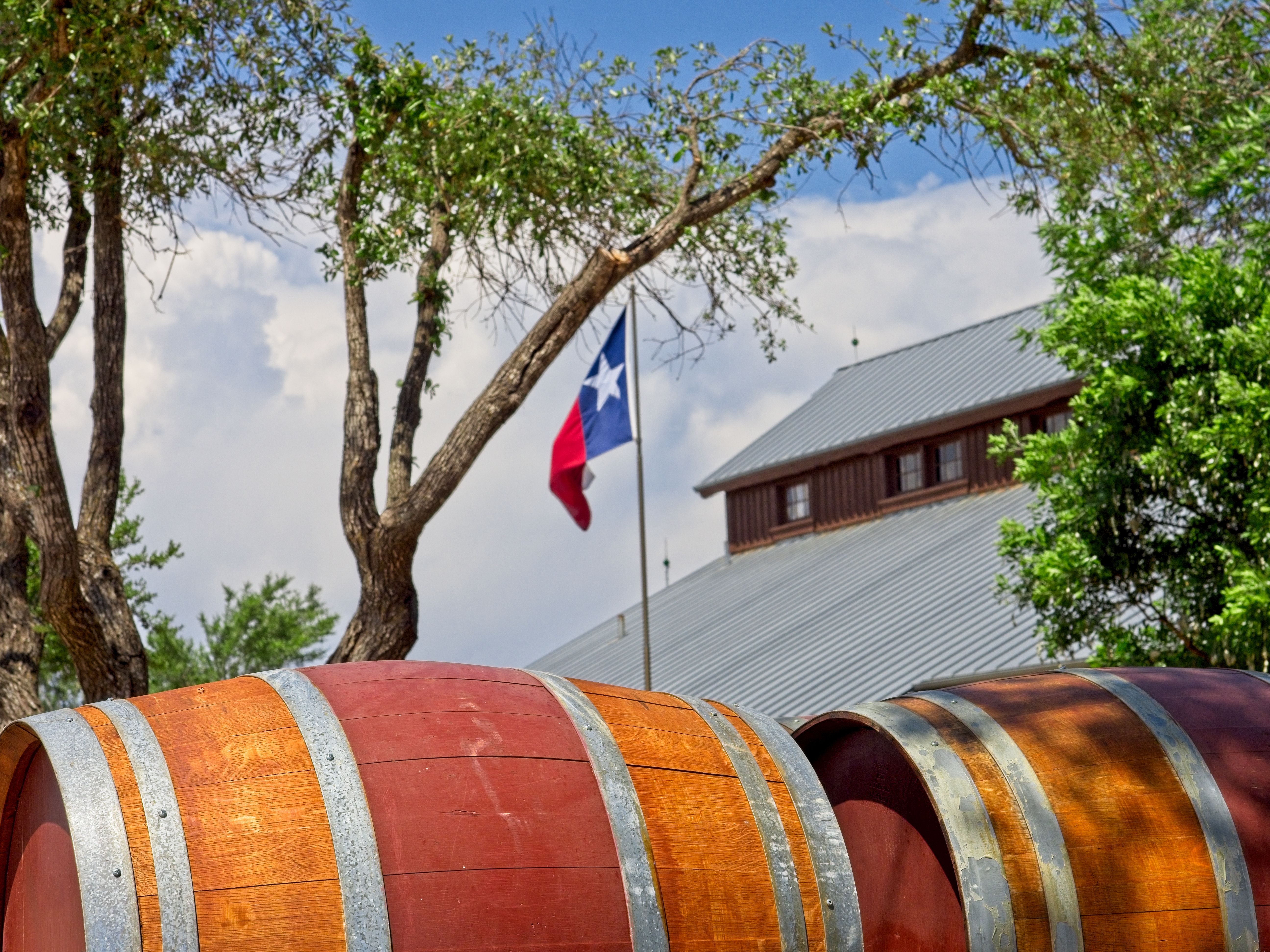 texas wine