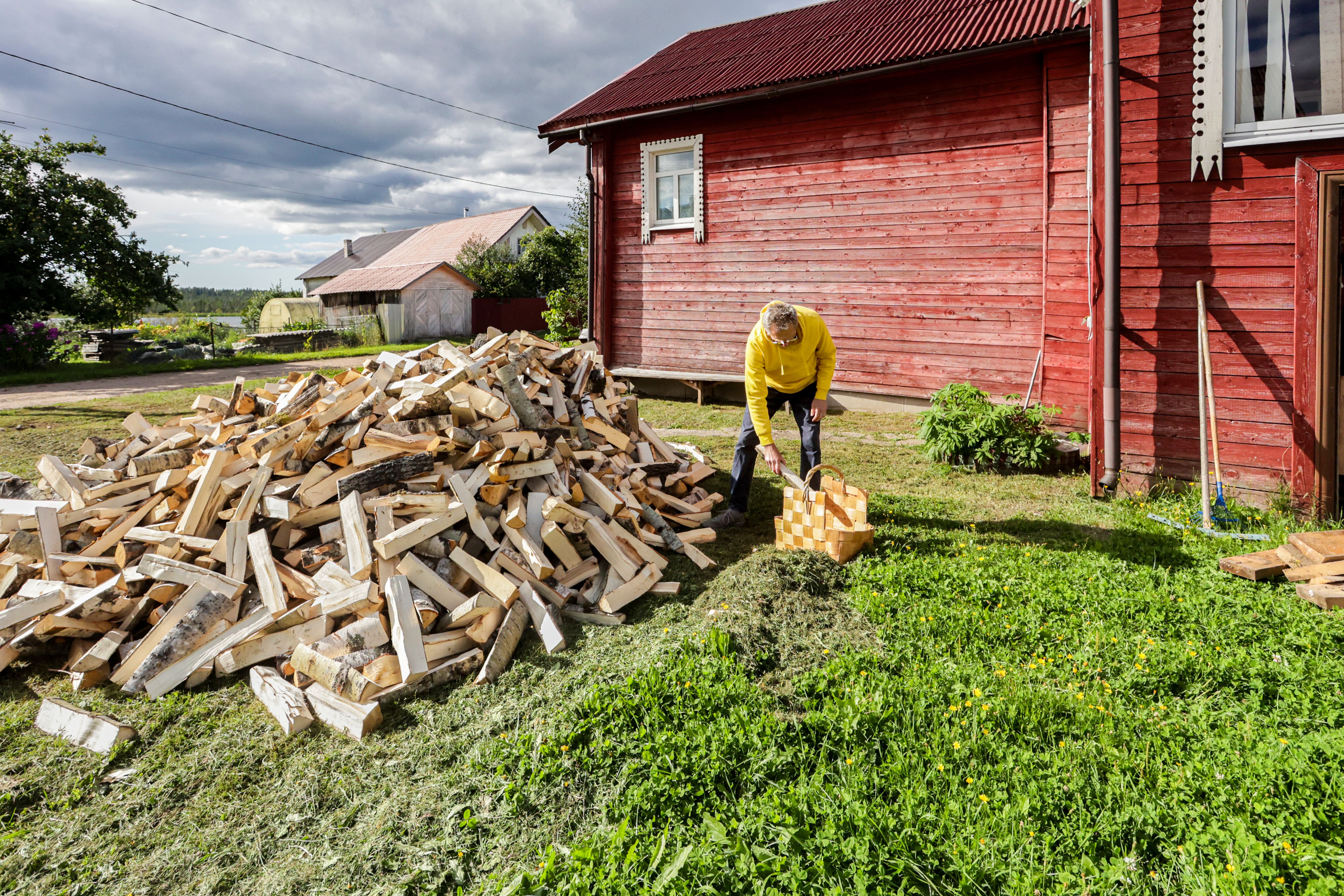 stacked firewood