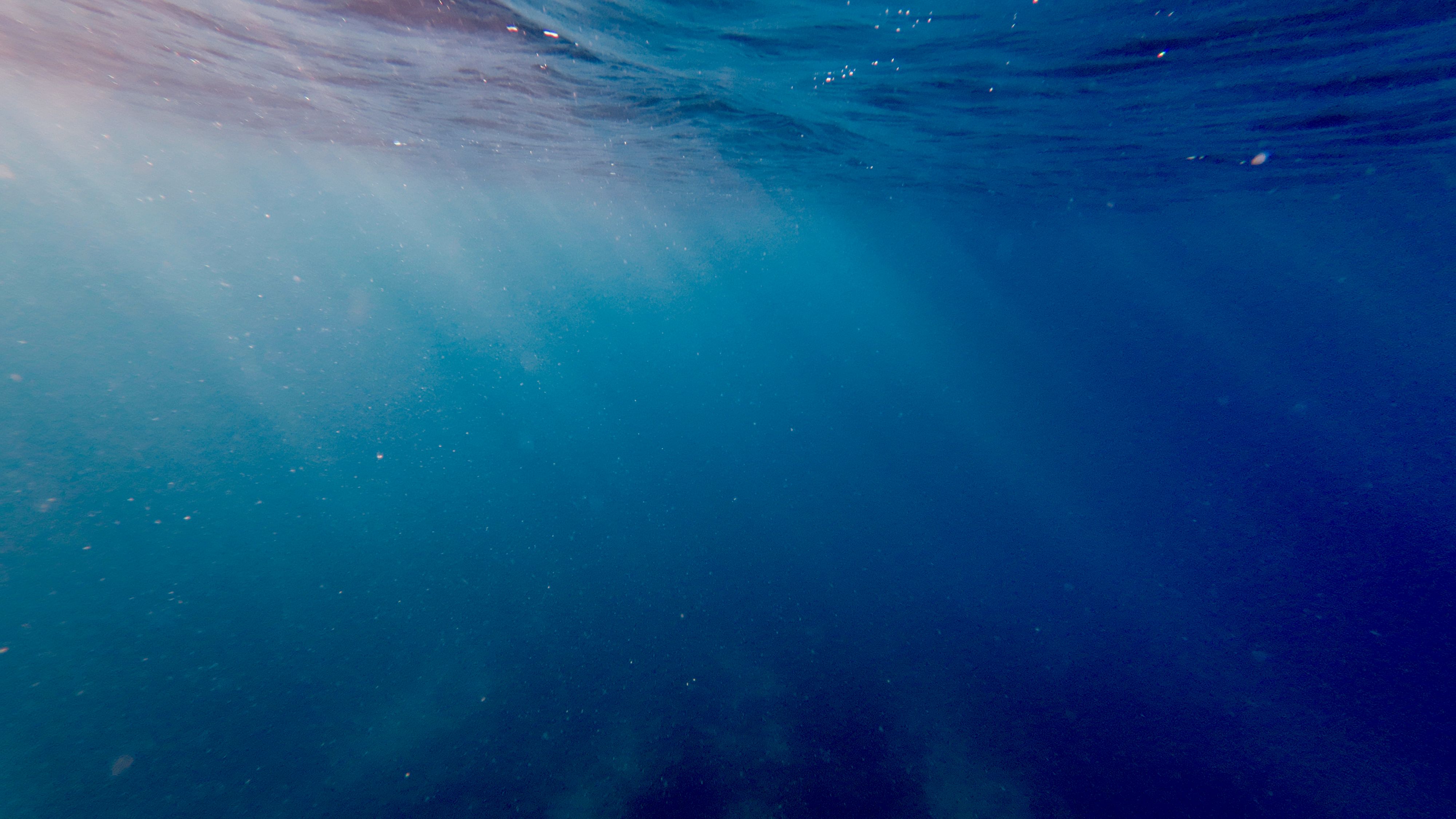 underwater photography