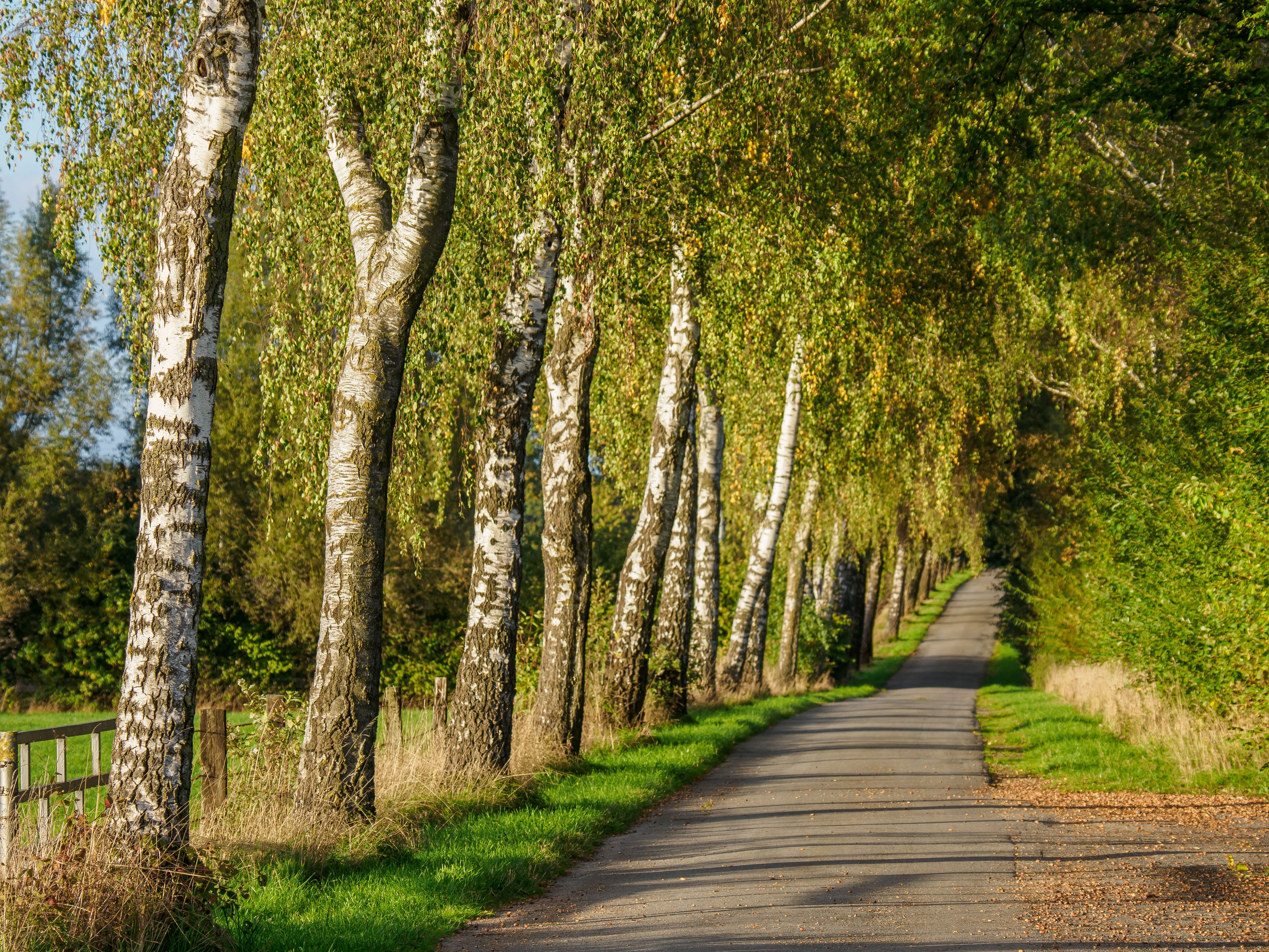 north rhine-westphalia landscape