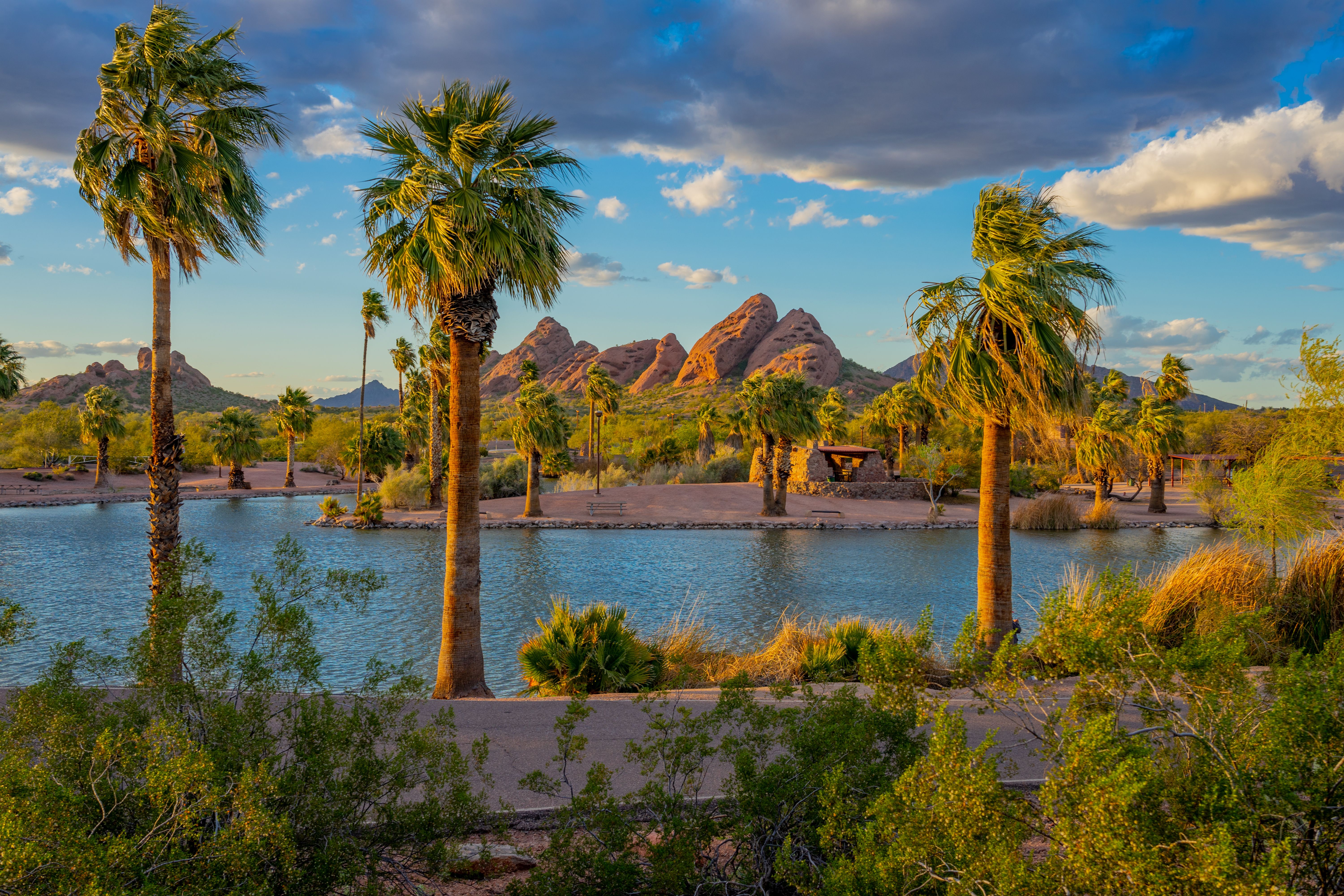 tempe landscape