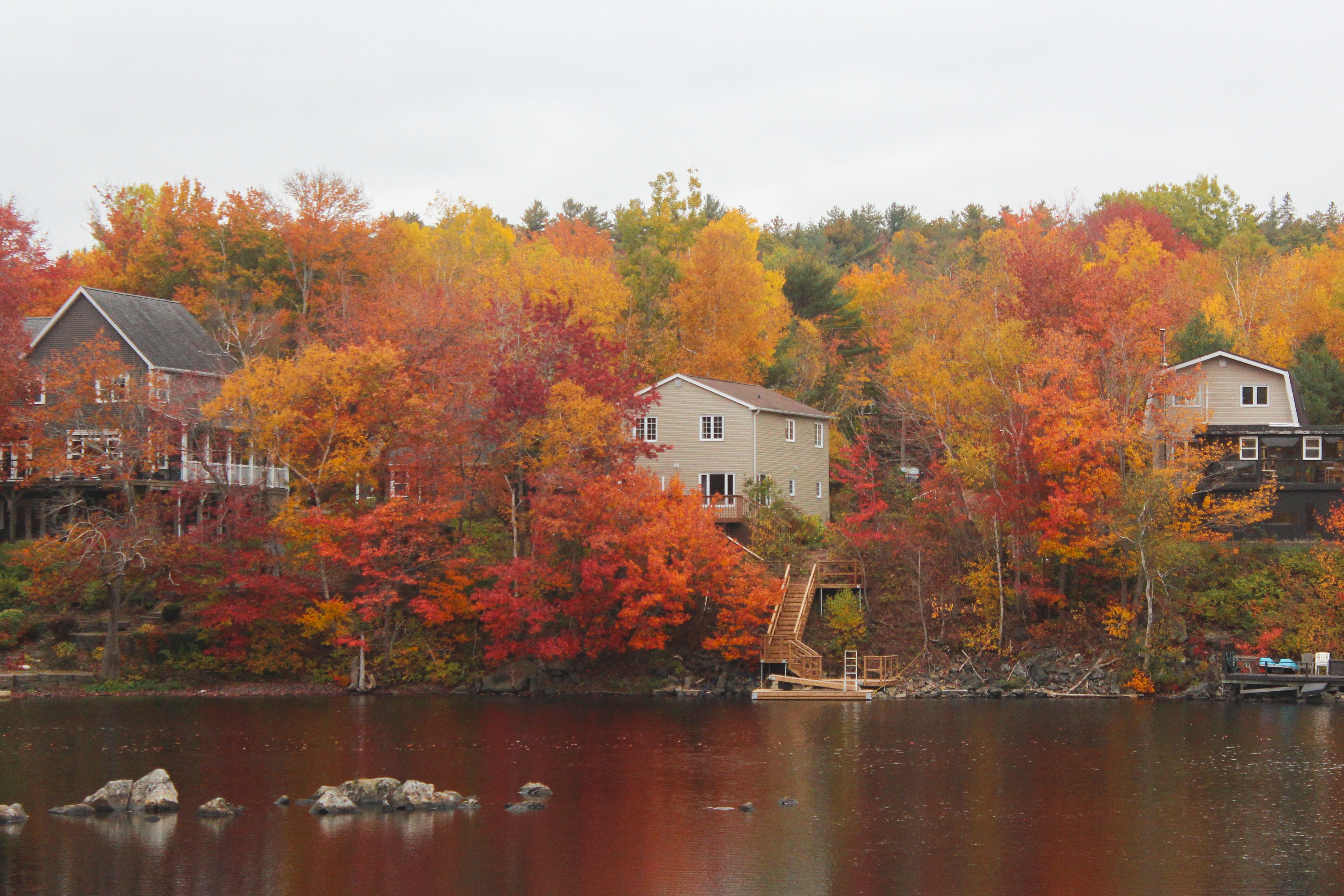 bedford neighborhood