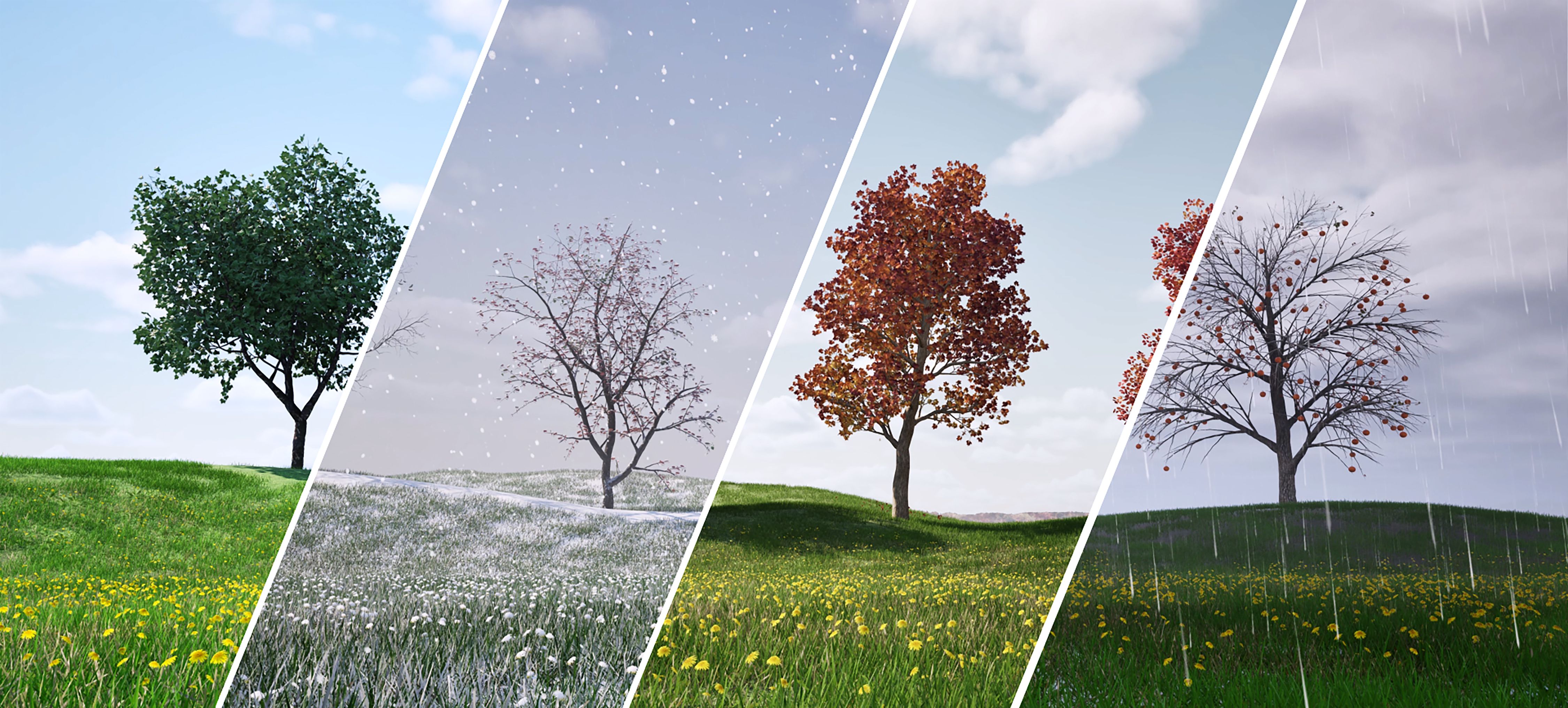 seasonal changes study