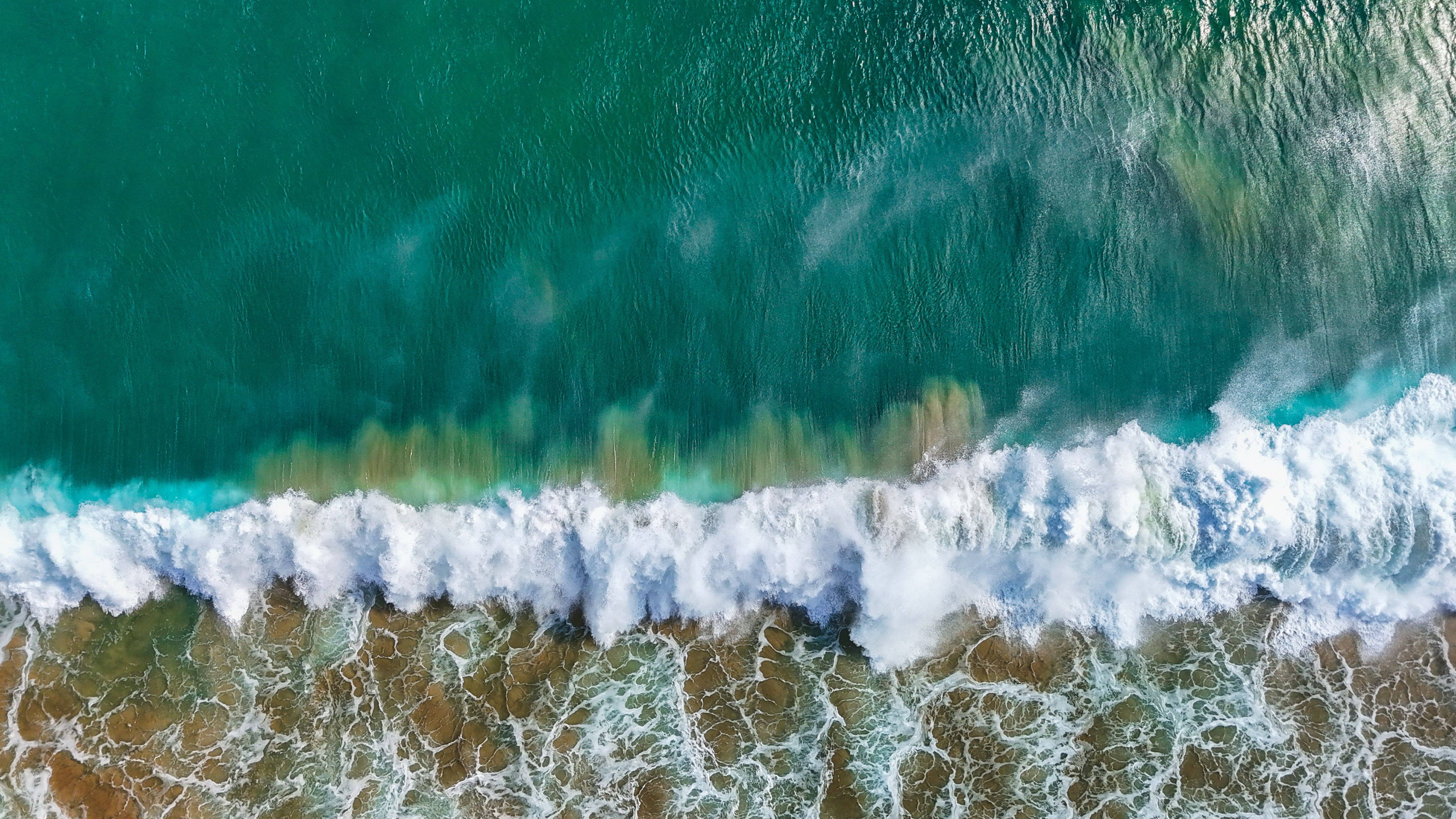 mediterranean climate