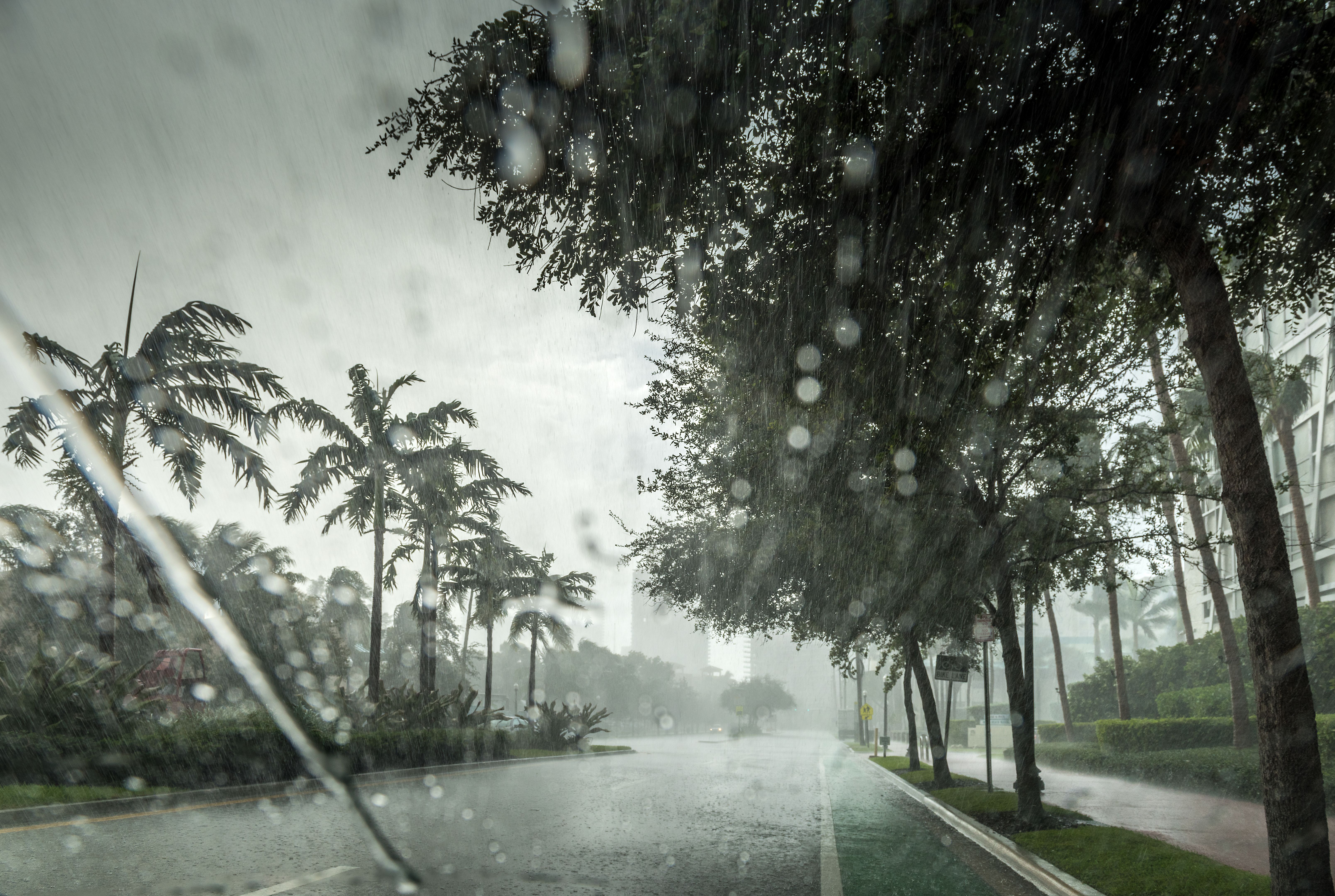 florida rain