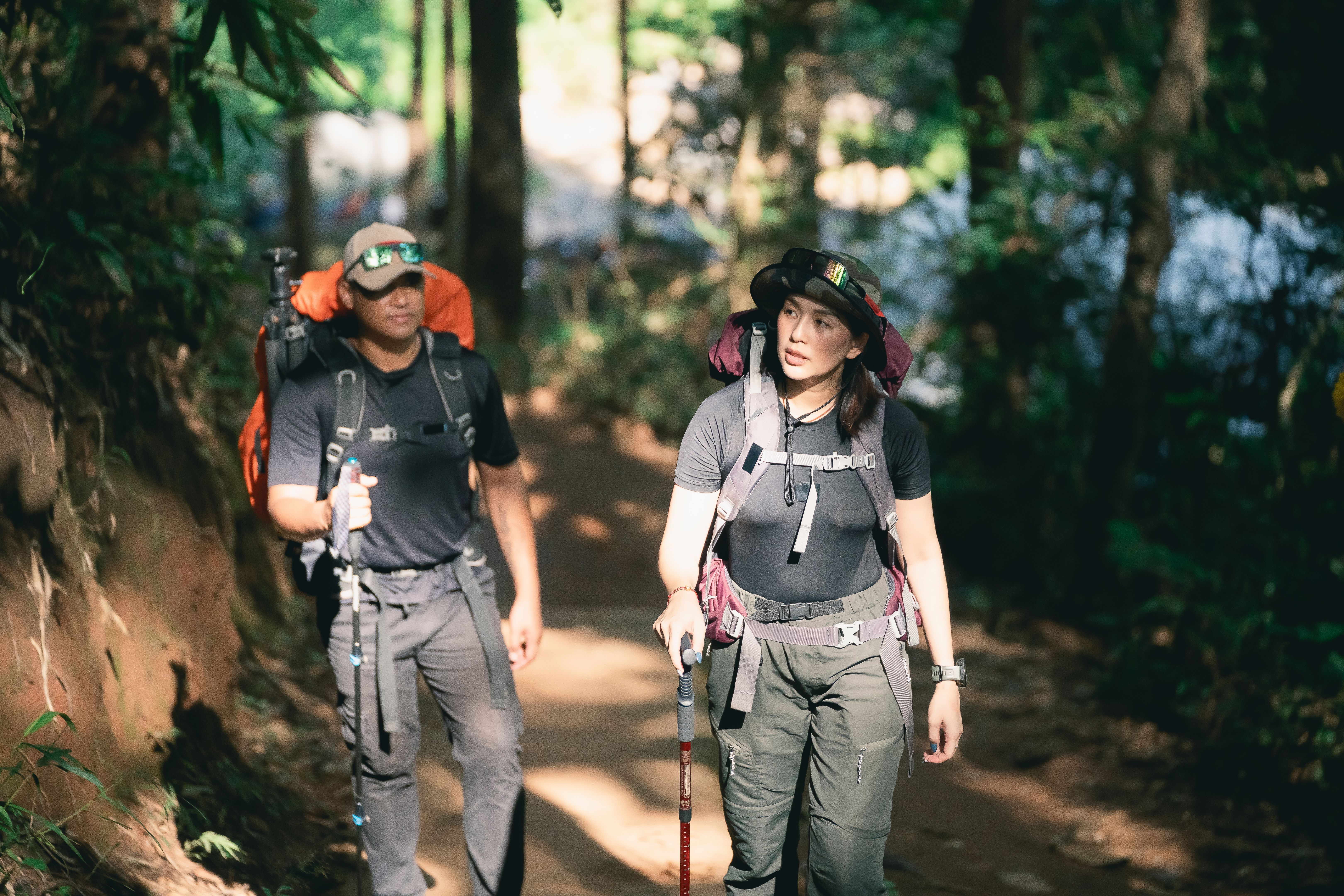 forest adventures south west