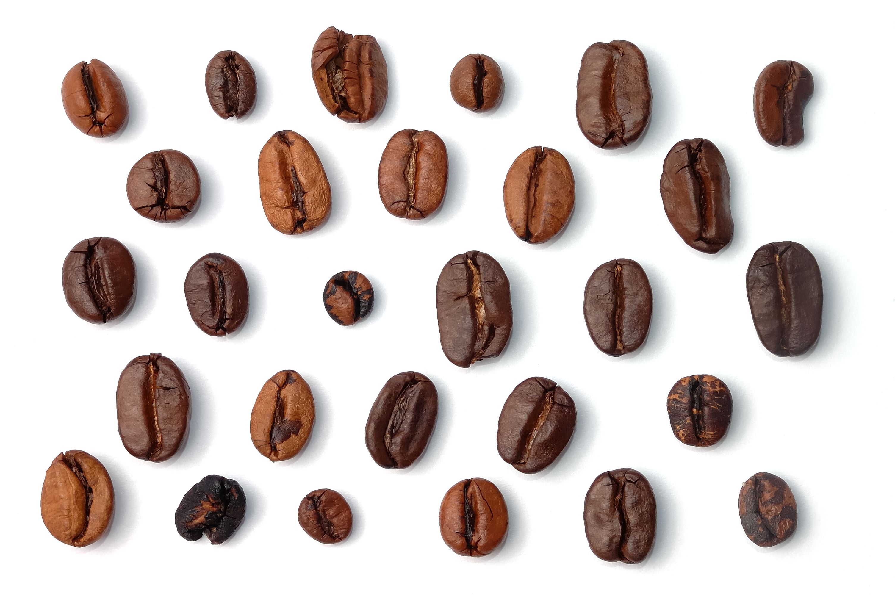 coffee beans variety