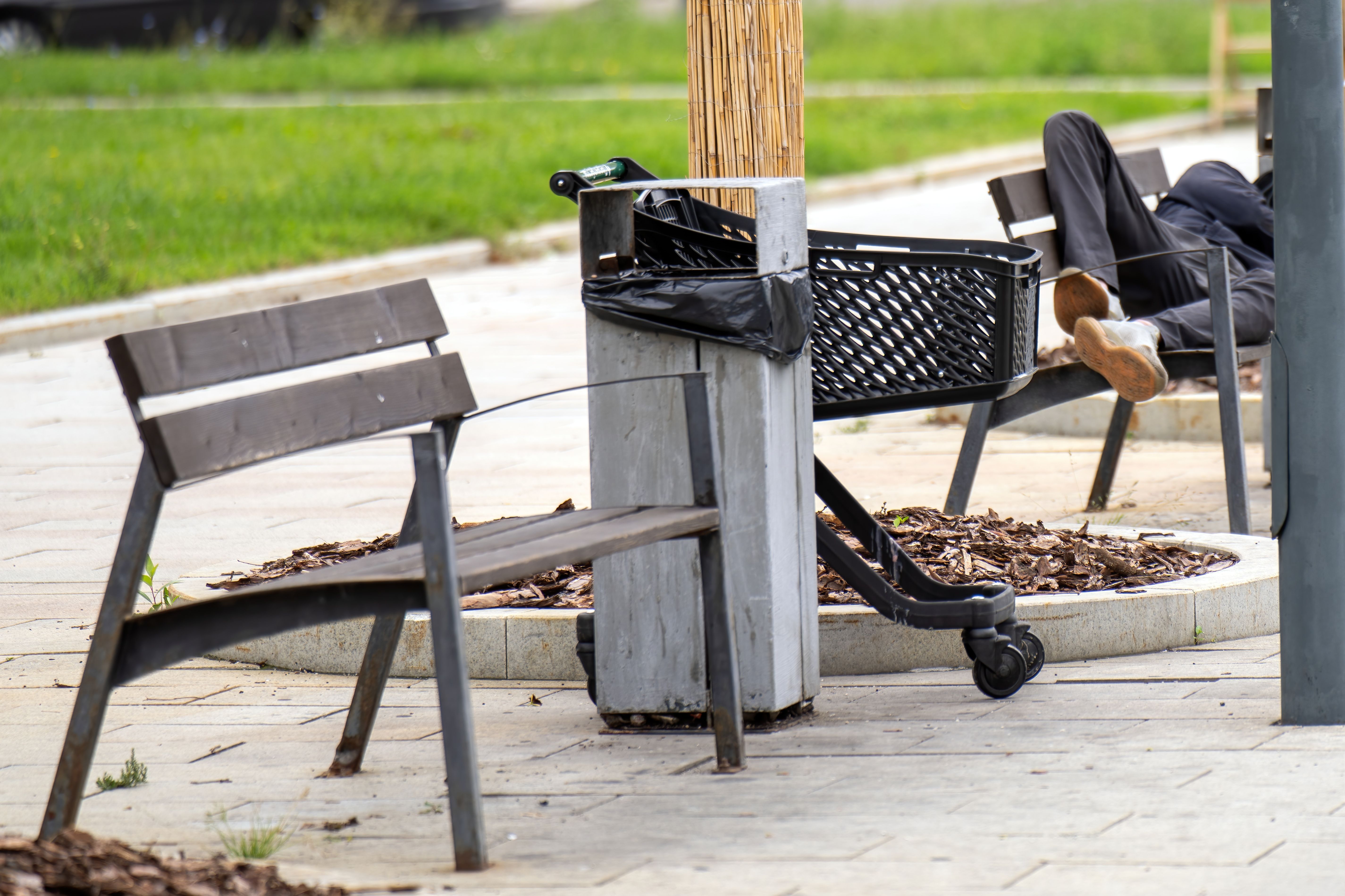 community resilience