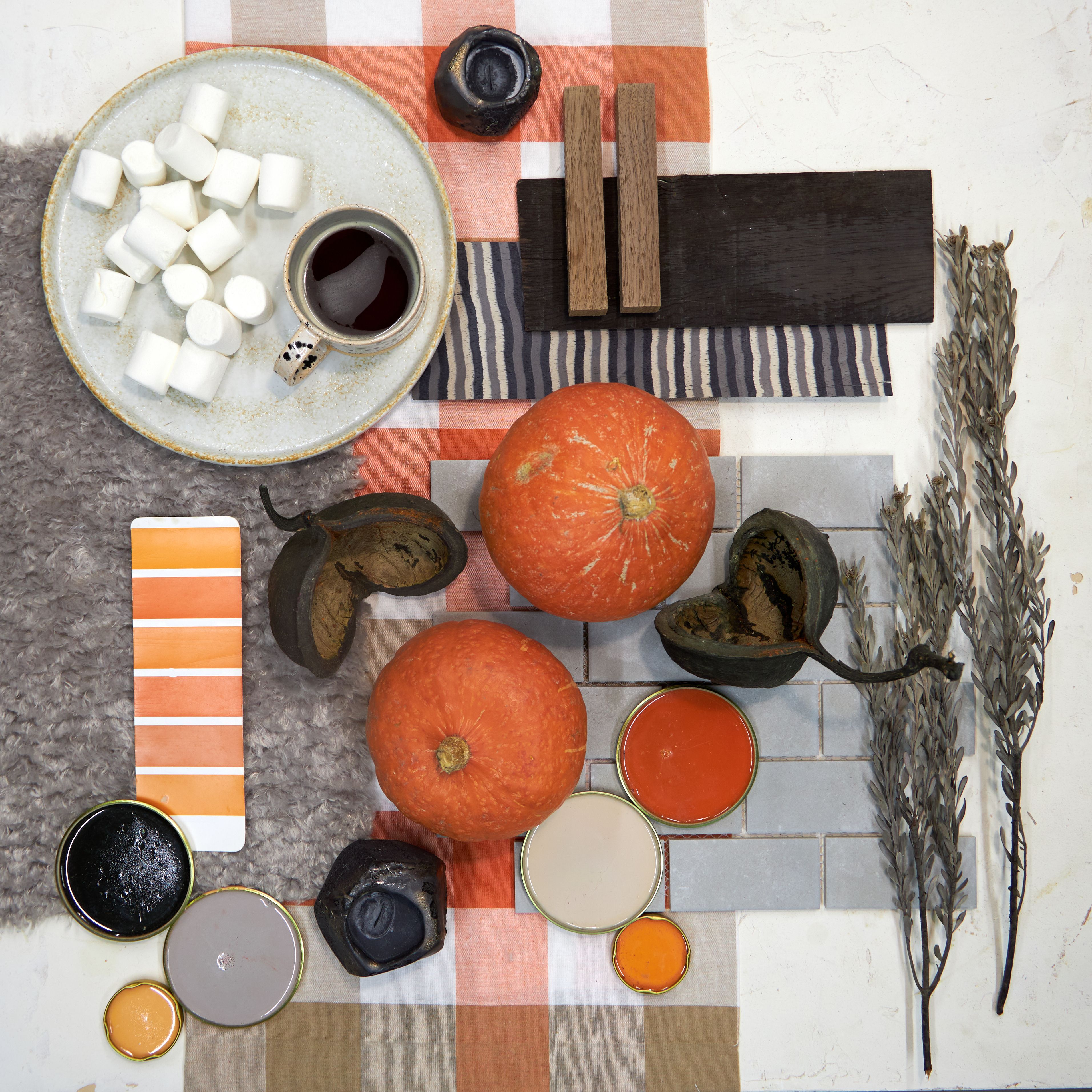 color palette fashion