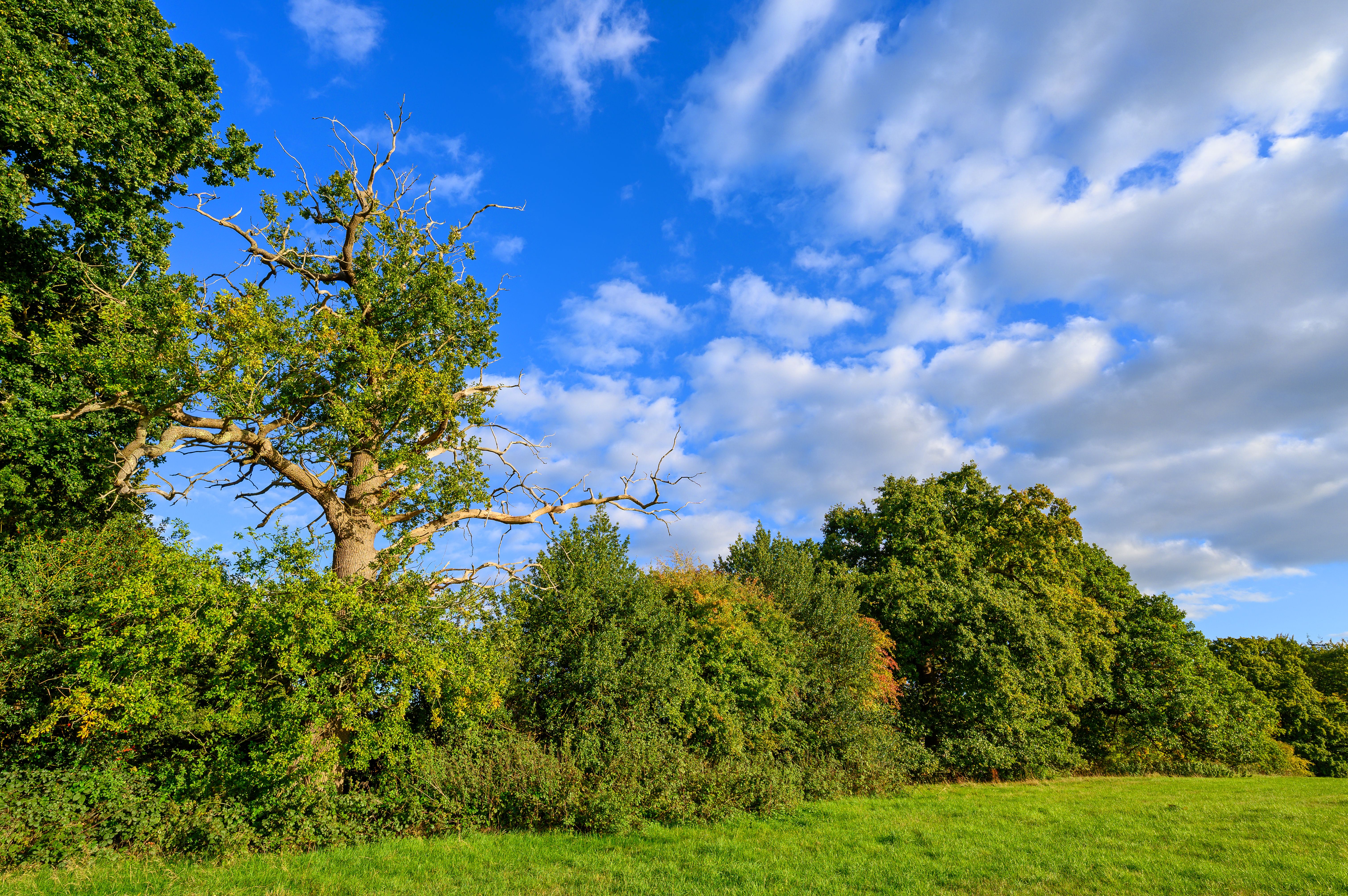 Countryside near Westerham in Kent, UK