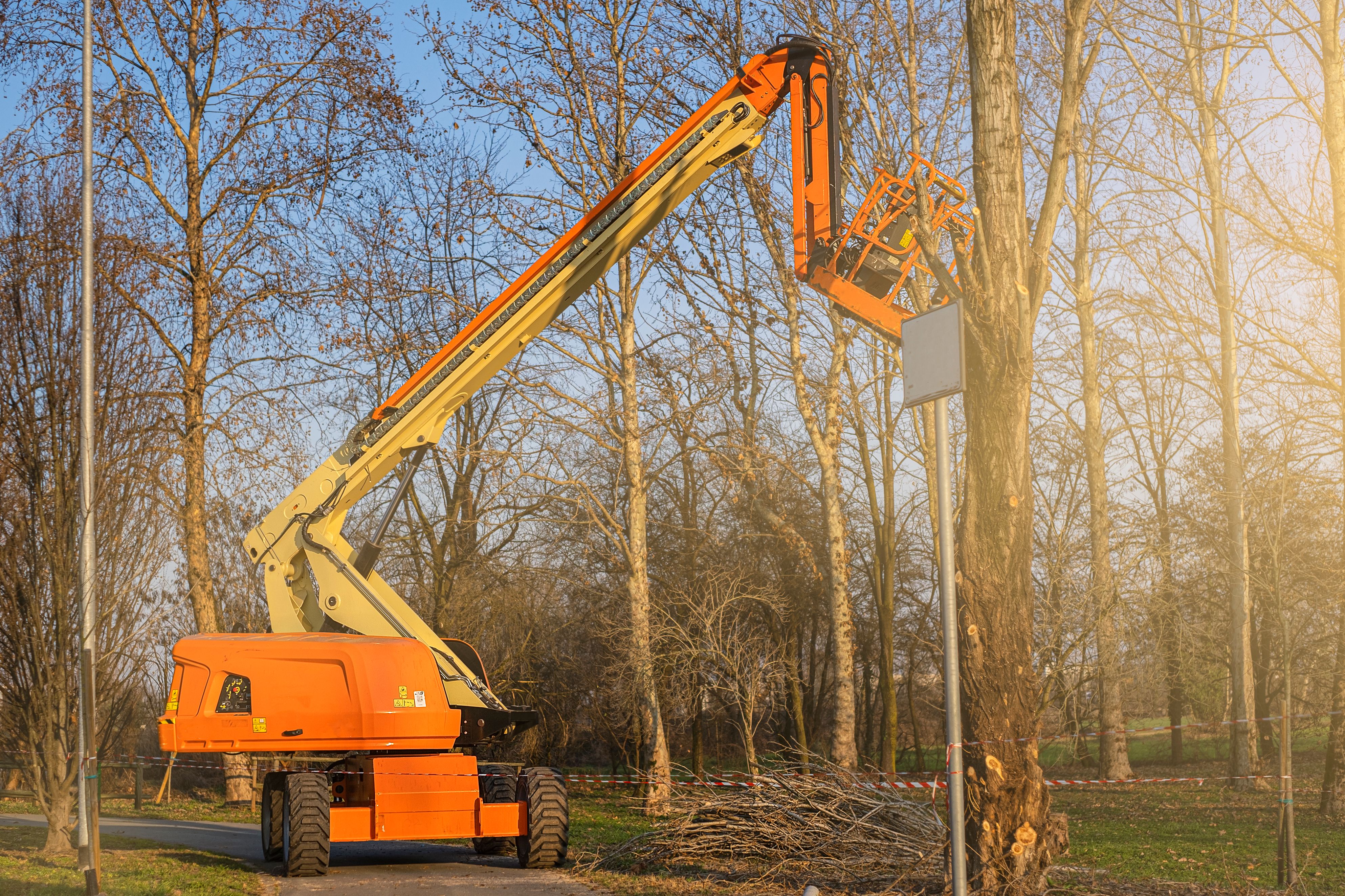 tree removal equipment