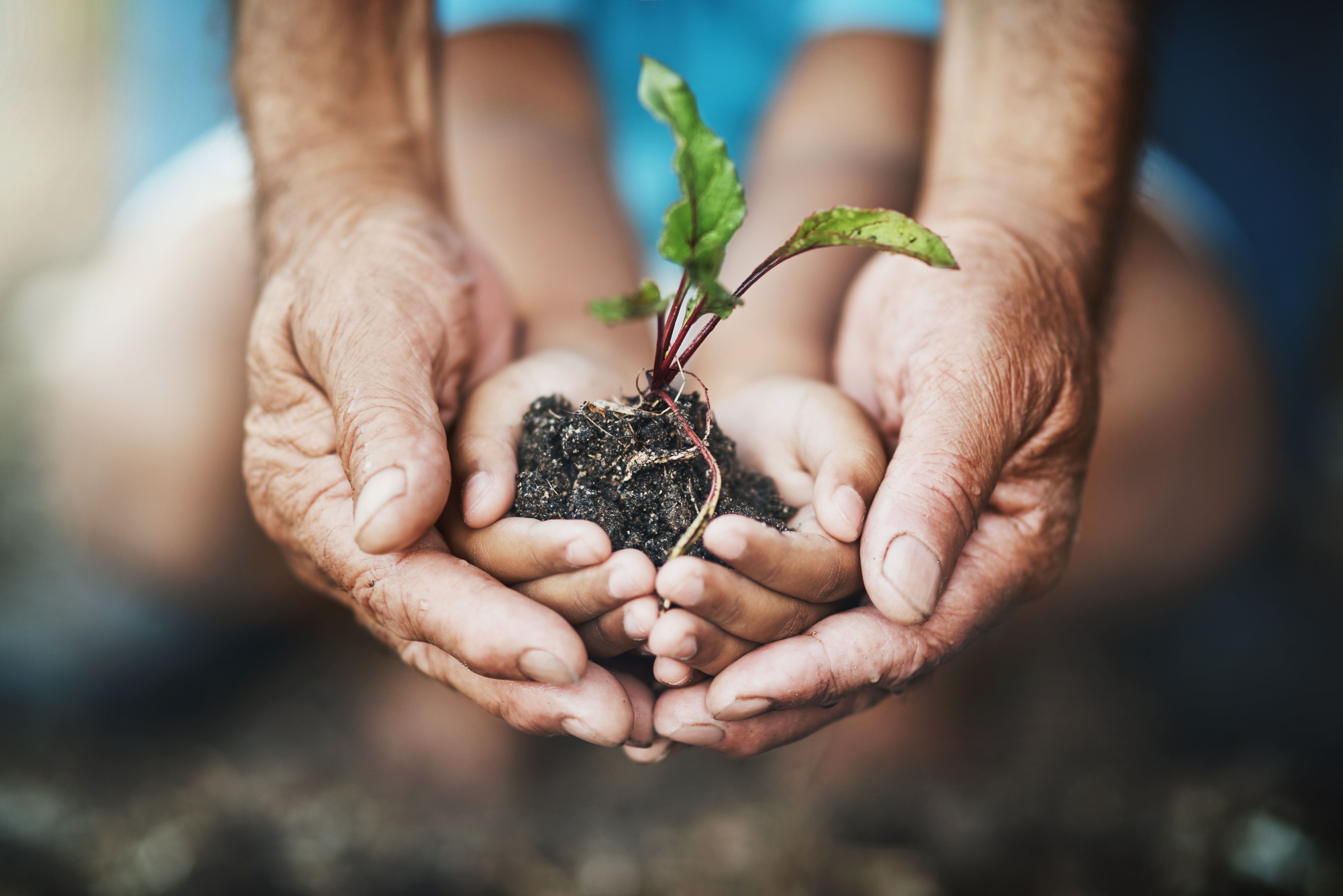 agriculture sustainability