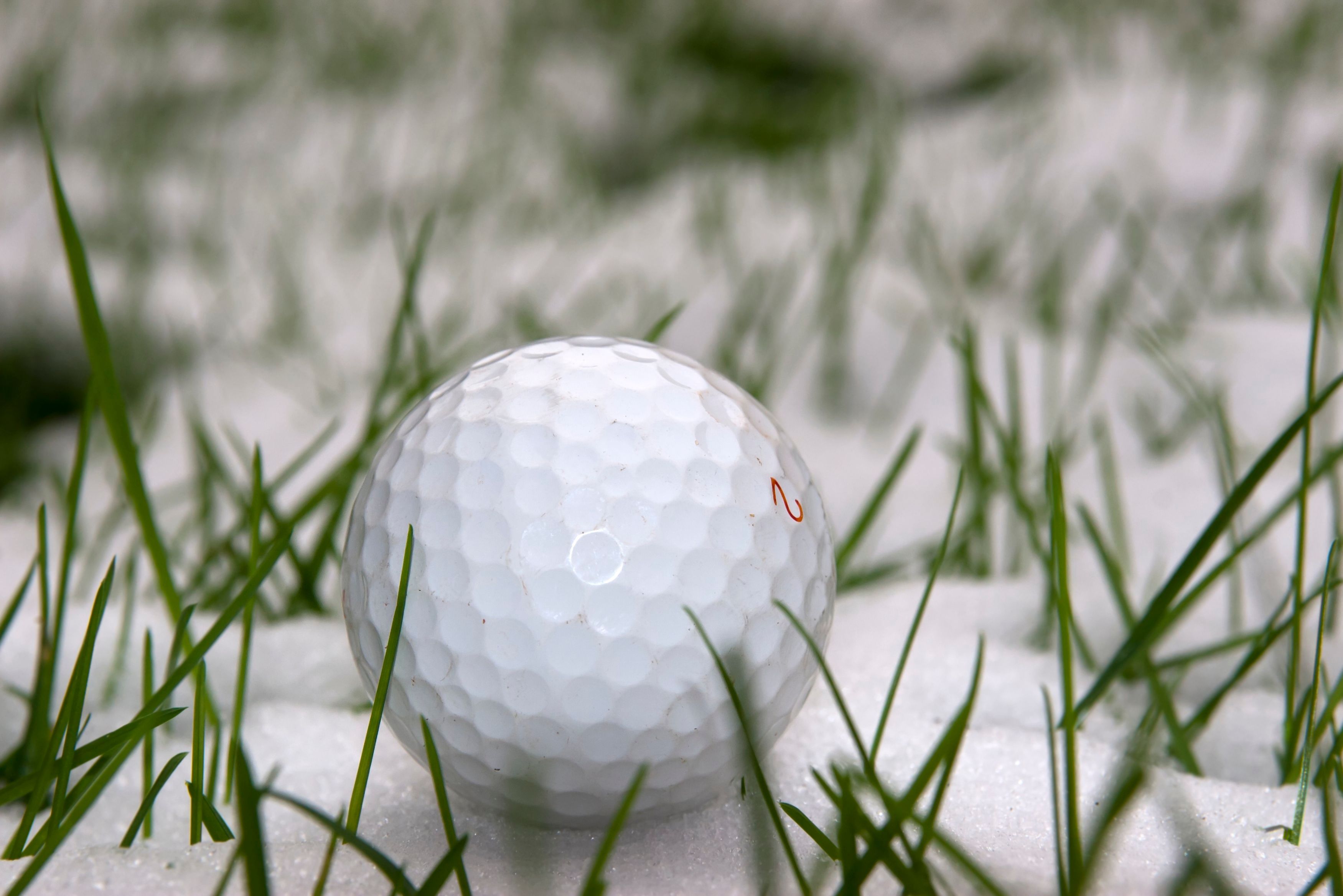 lone single golf ball in the snow lone single golf ball in the snow