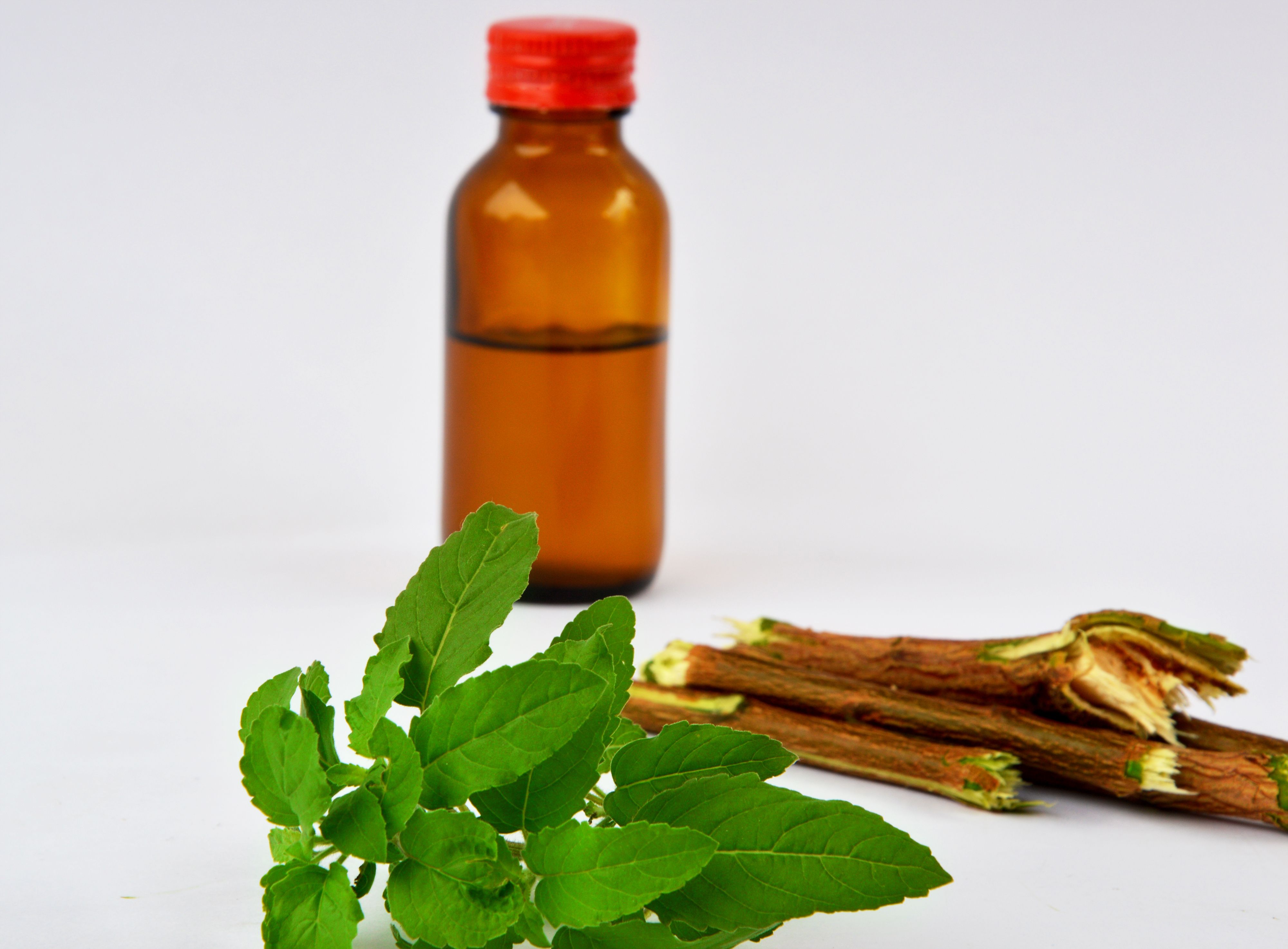 Medicinal Green Tulsi and Bottle Medicinal Green Tulsi and Bottle