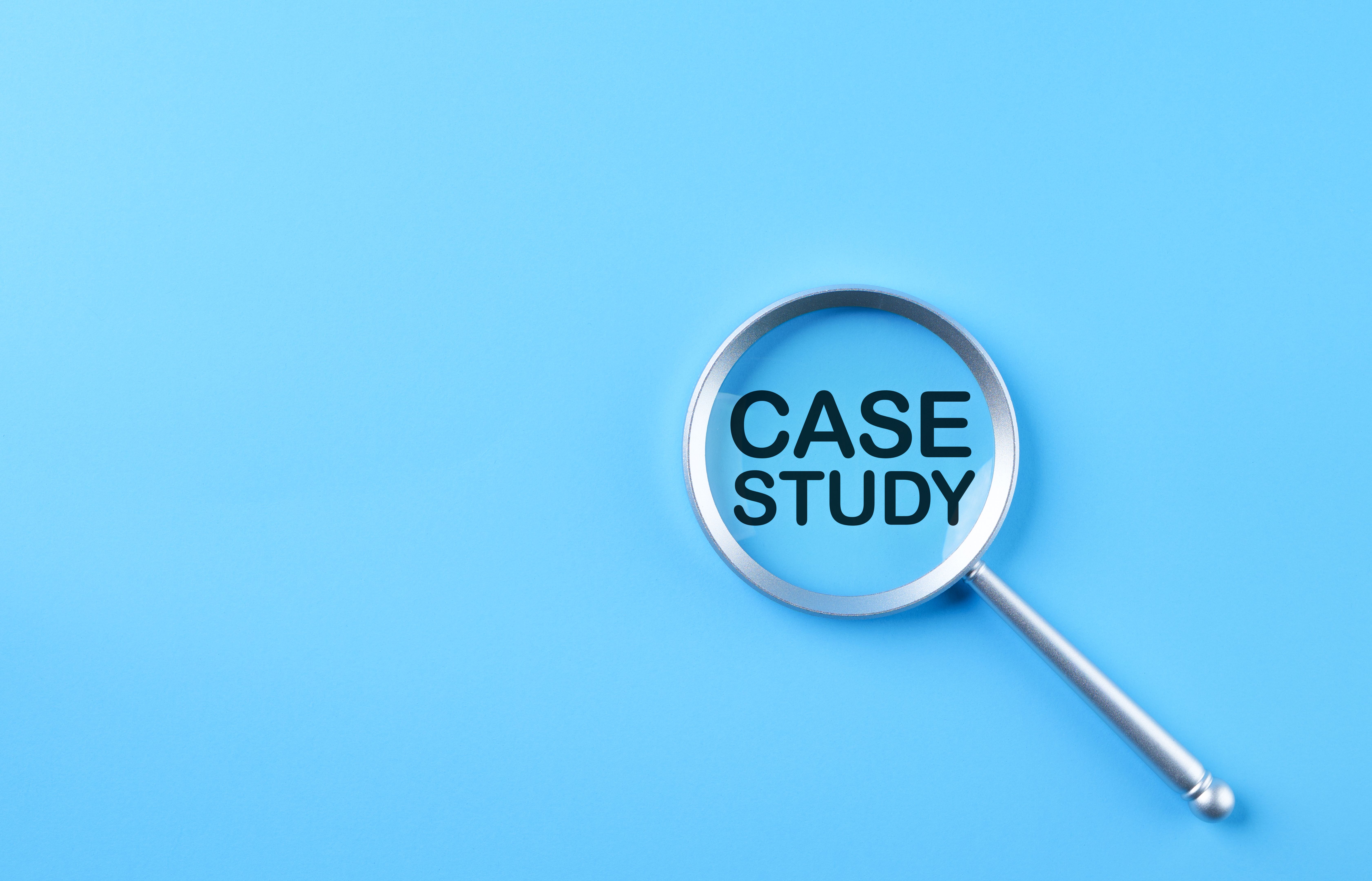 SEO case study