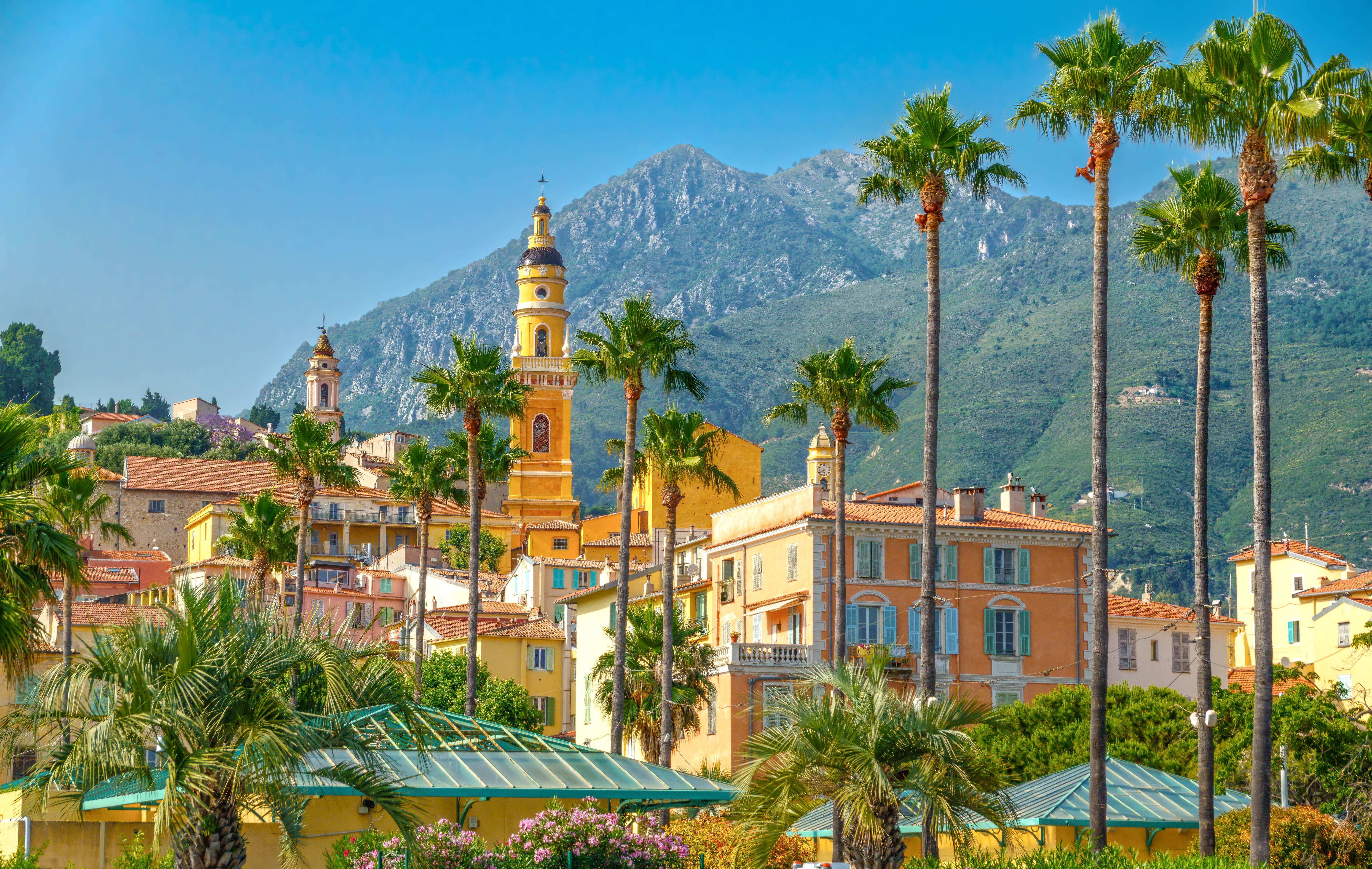 alpes maritimes business