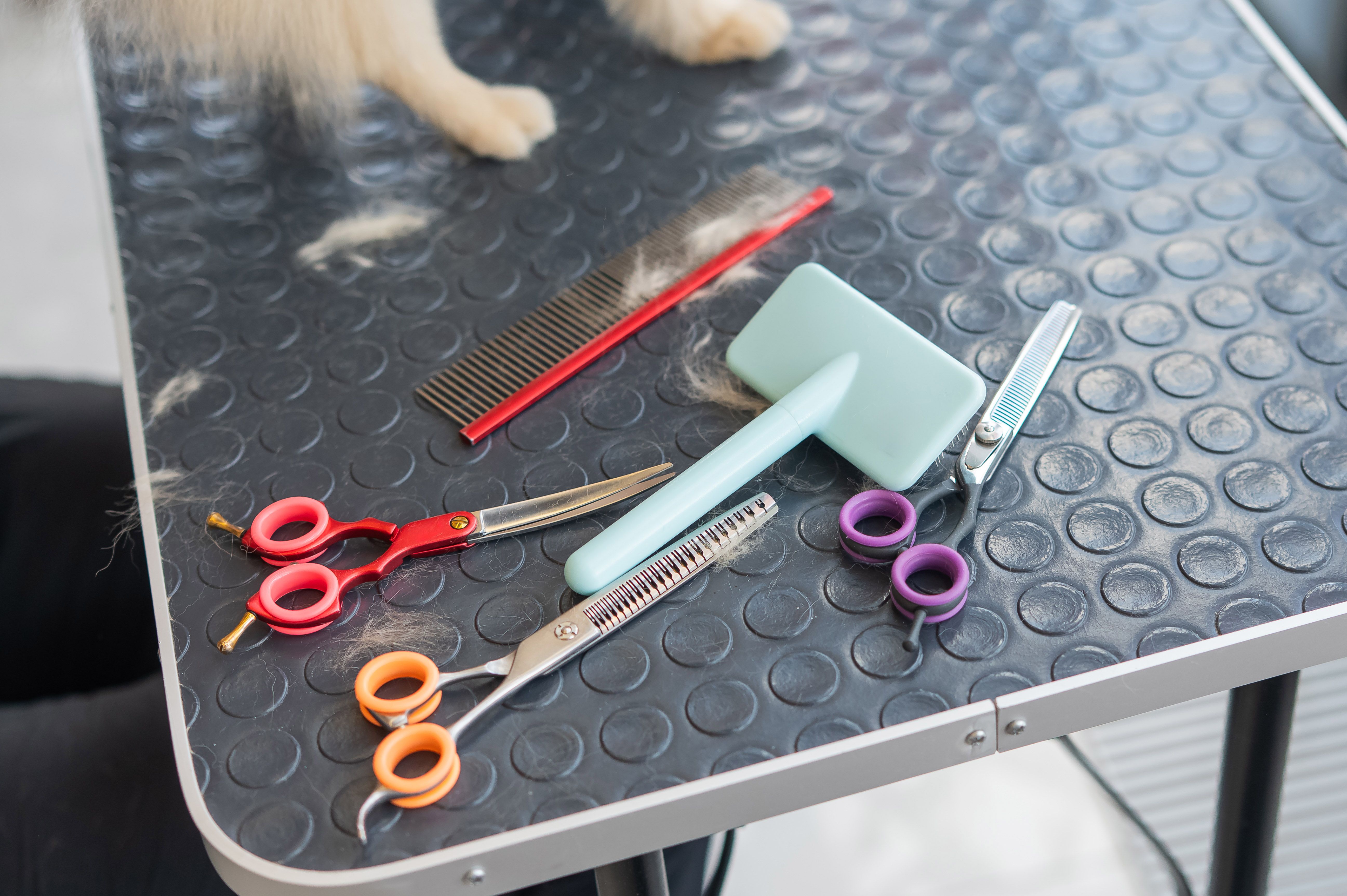 pet grooming tools