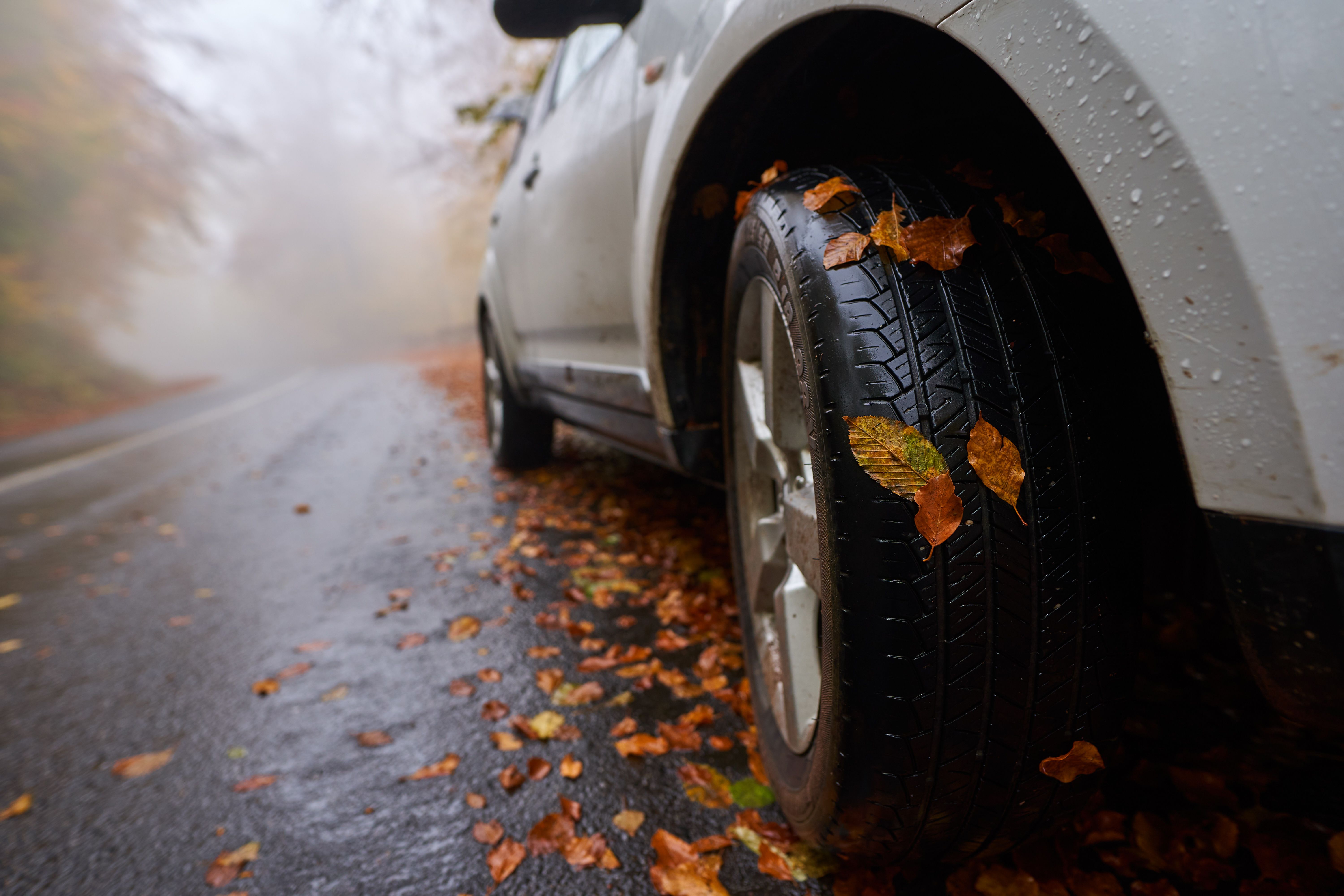 autumn road