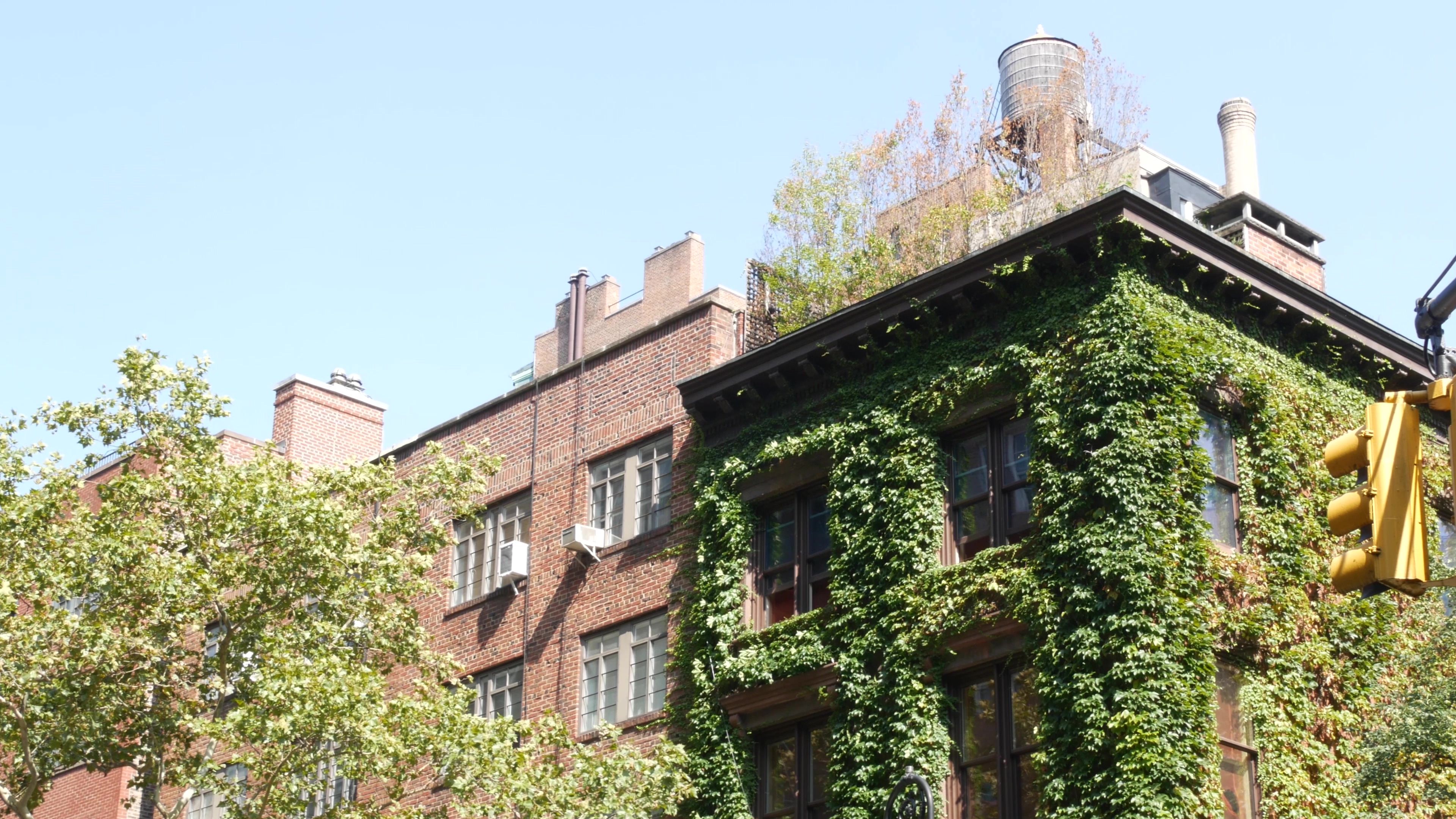 King Irving neighborhood