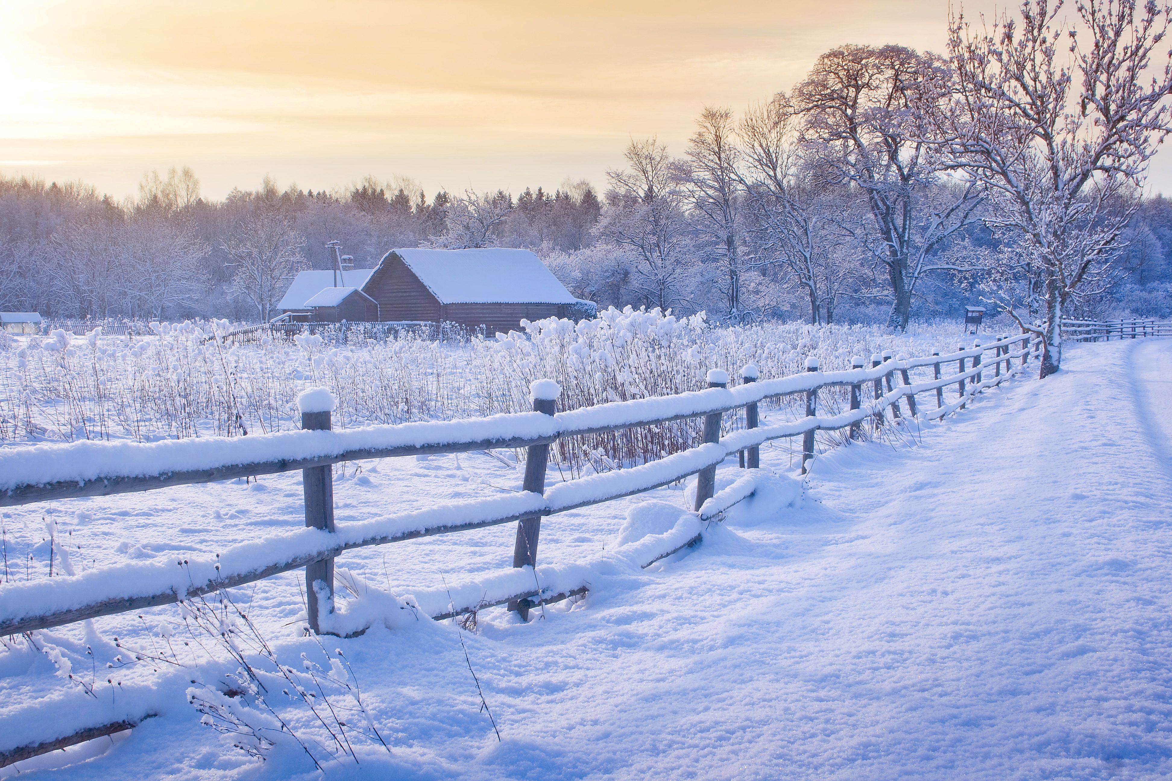 snowy fence