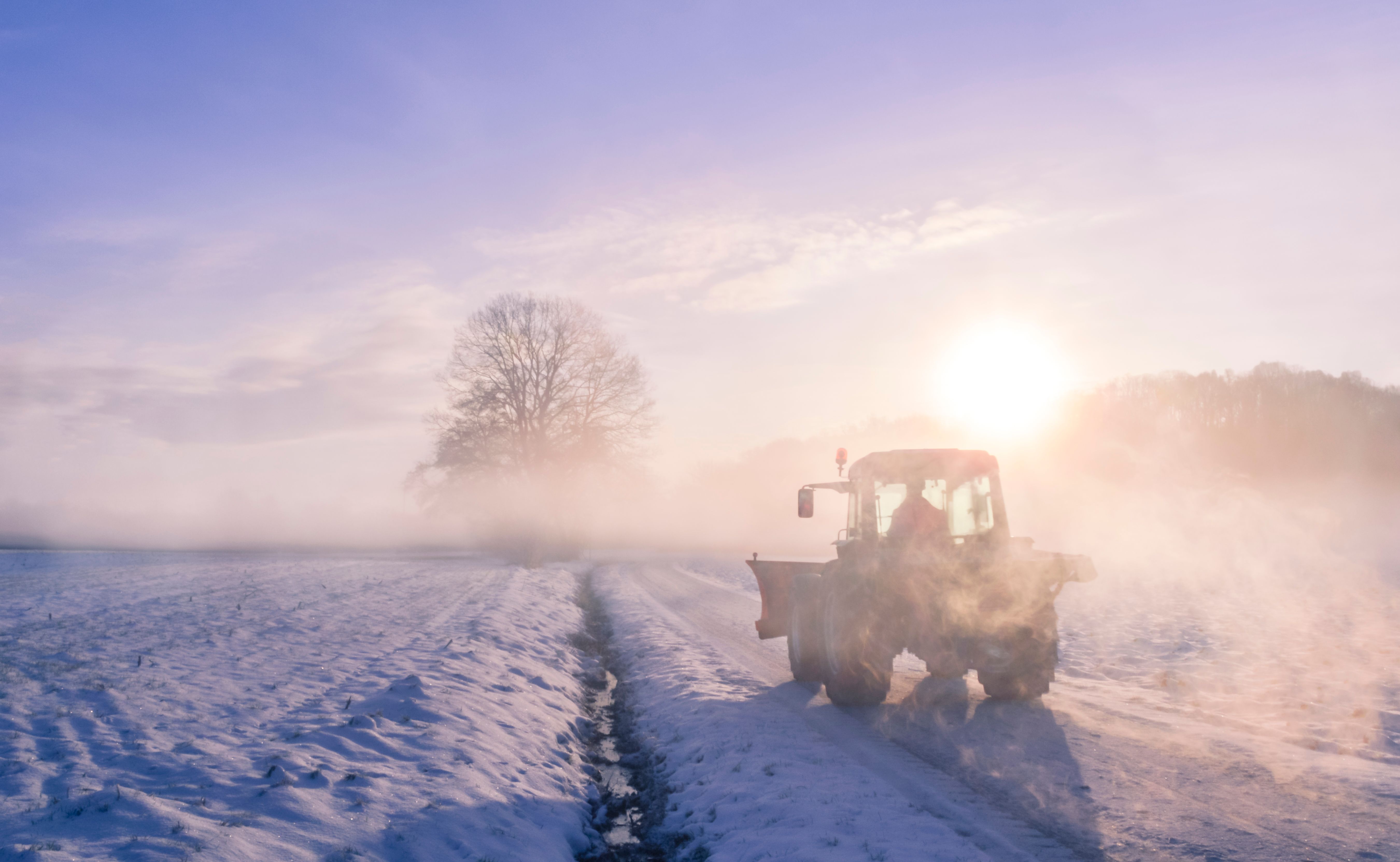 Tractor silhouette through fog, on snowy field