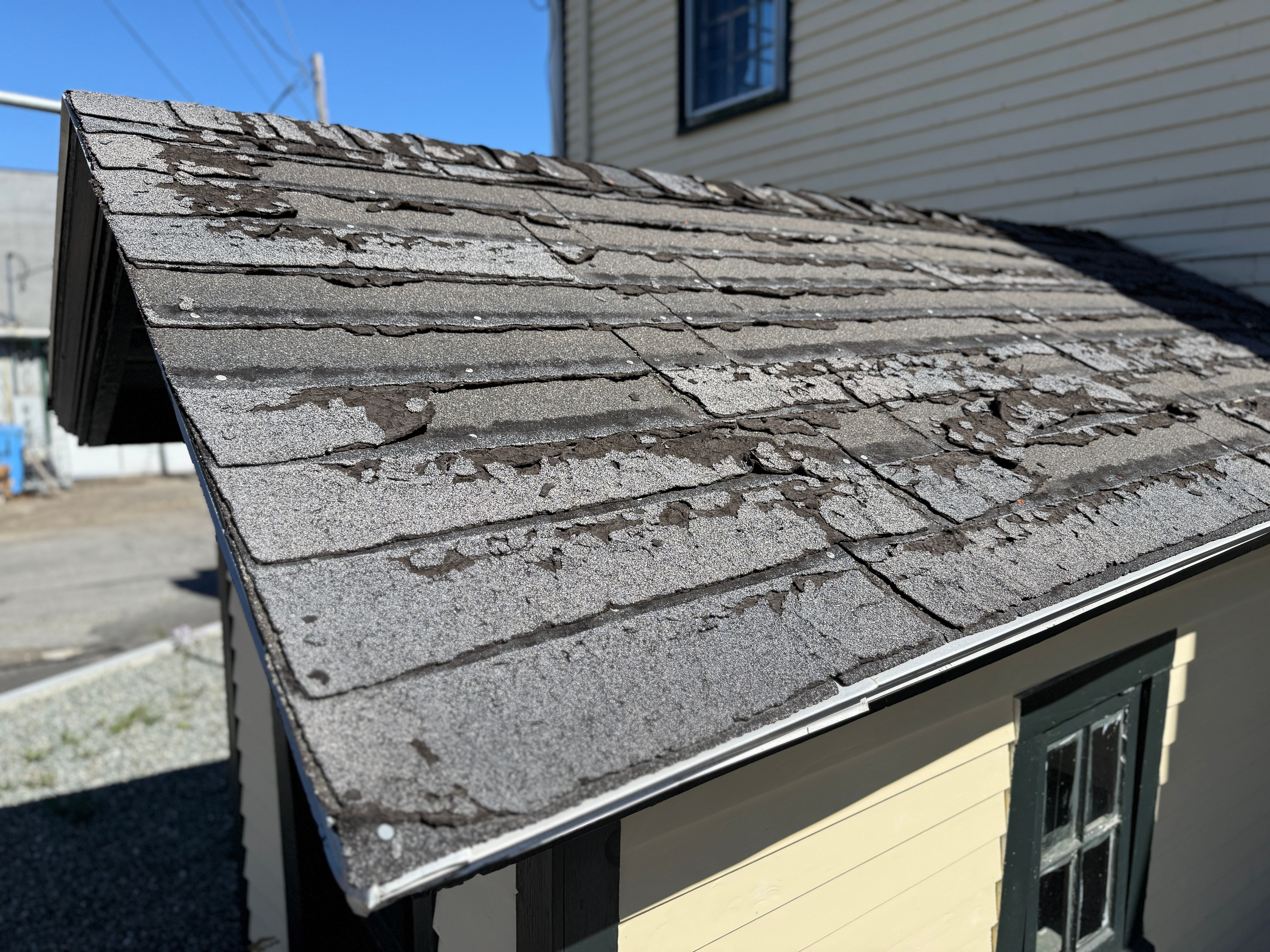 asphalt shingles