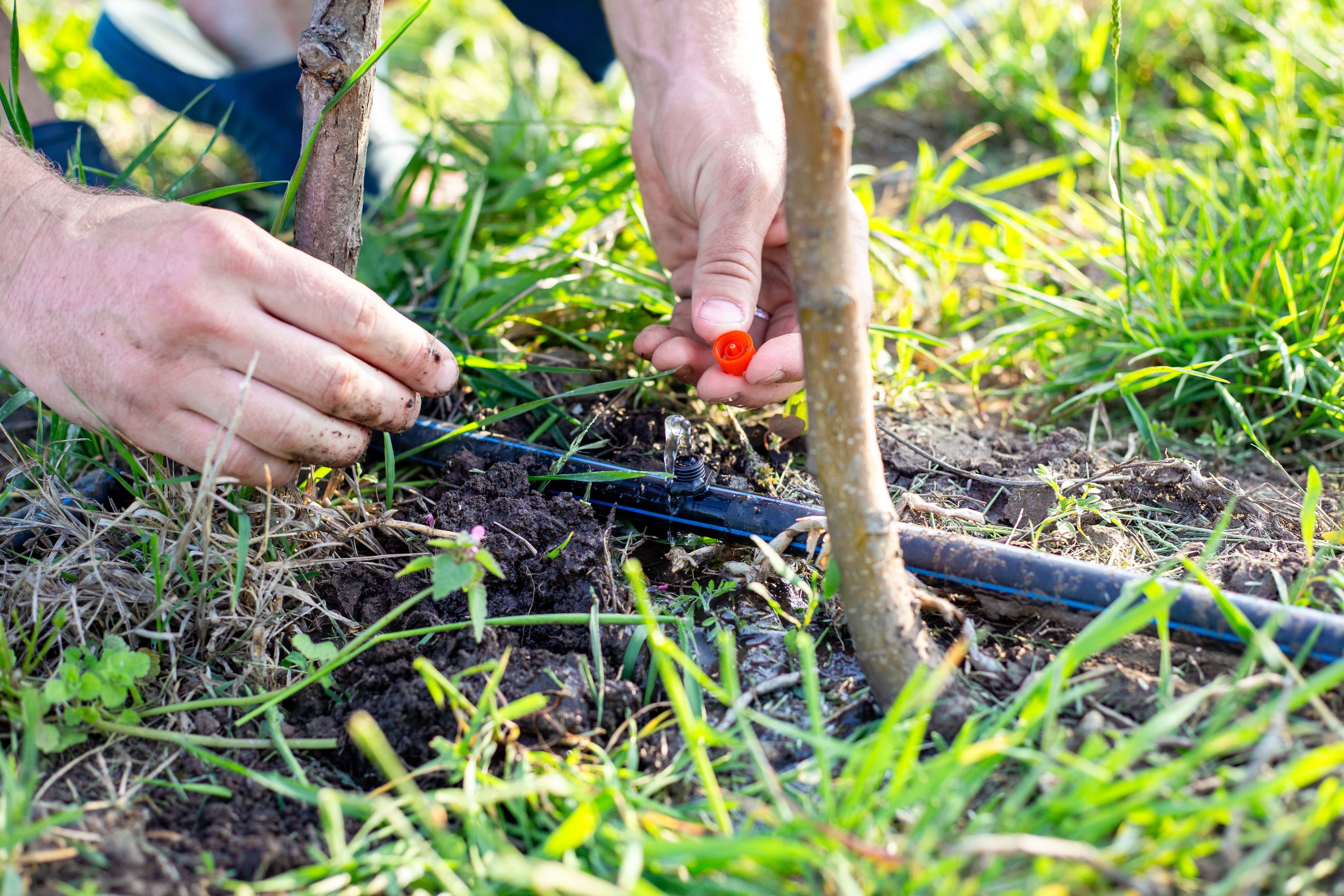 irrigation installation