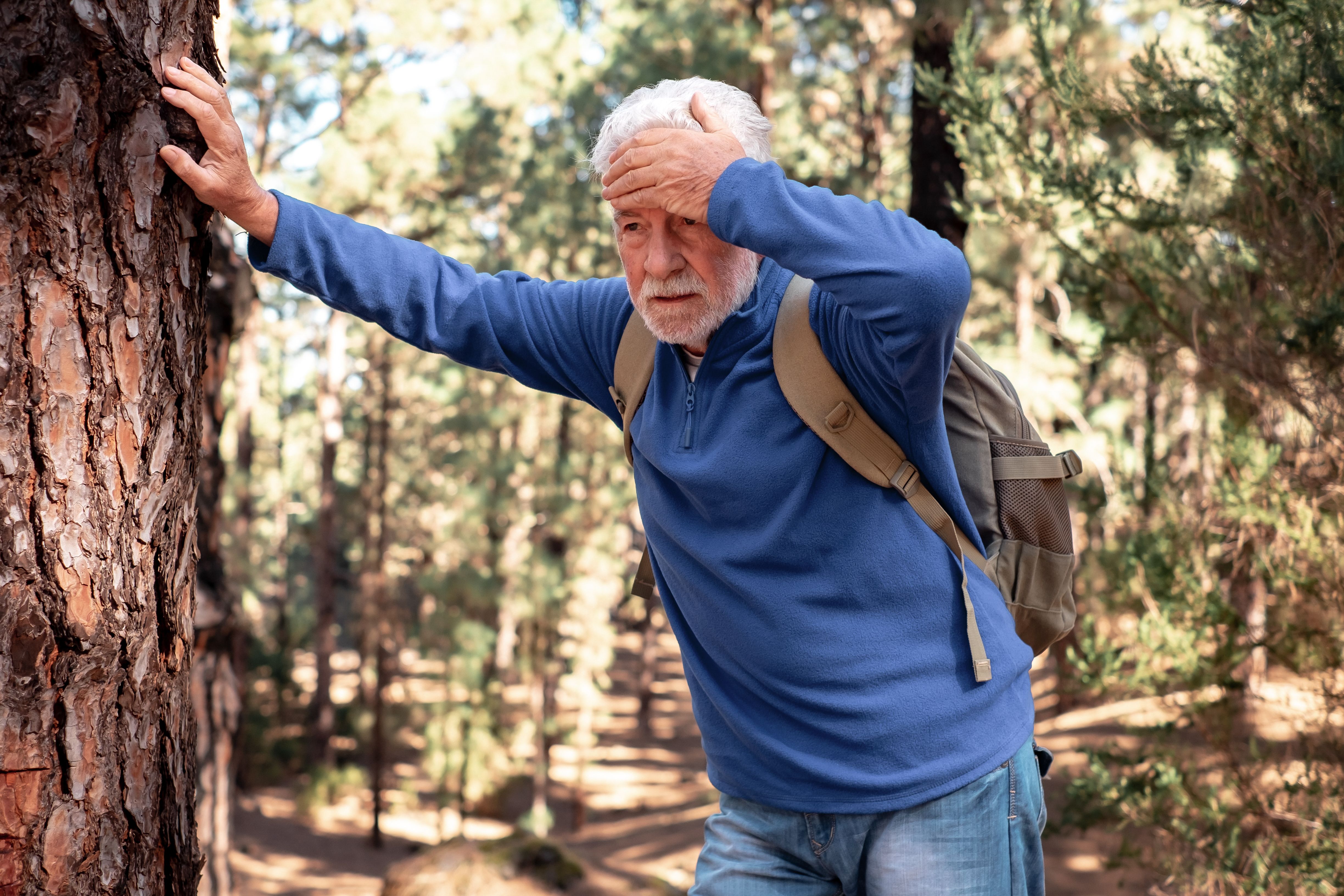 Senior bearded man feeling bad while walking in the mountain woods. Elderly man with backpack touching his head leaning against a tree trunk to catch his breath